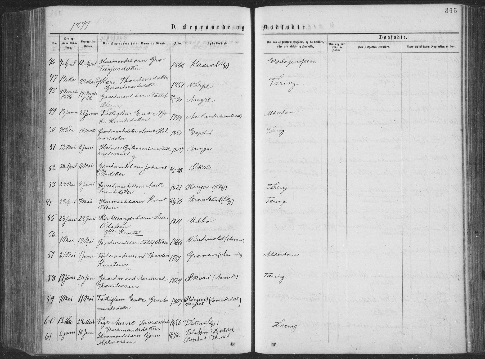 Seljord kirkebøker, AV/SAKO-A-20/F/Fa/L0014: Ministerialbok nr. I 14, 1877-1886, s. 365