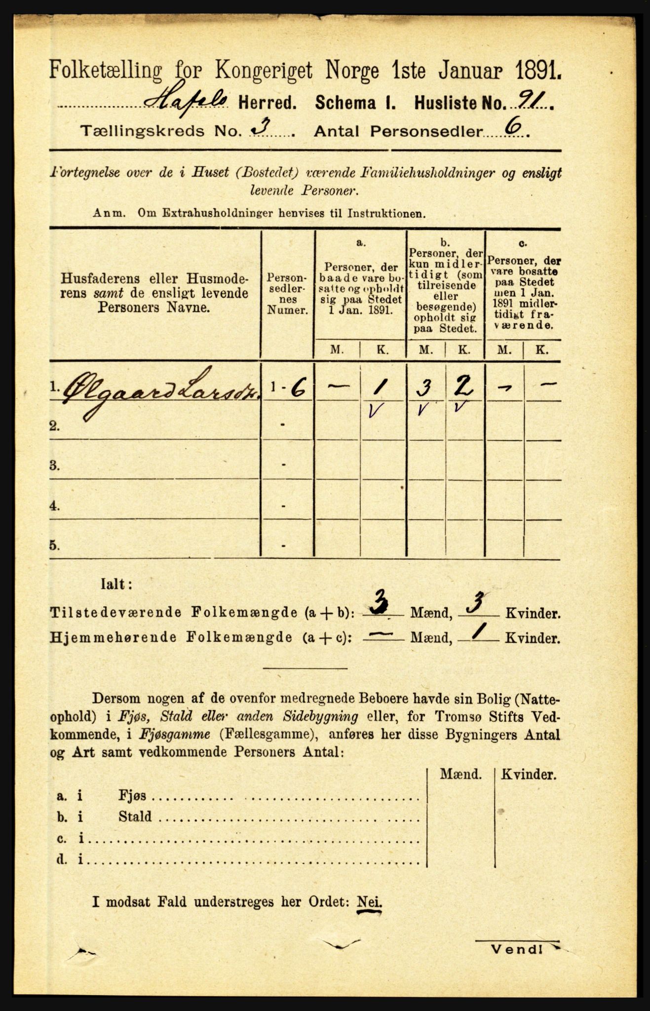 RA, Folketelling 1891 for 1425 Hafslo herred, 1891, s. 971
