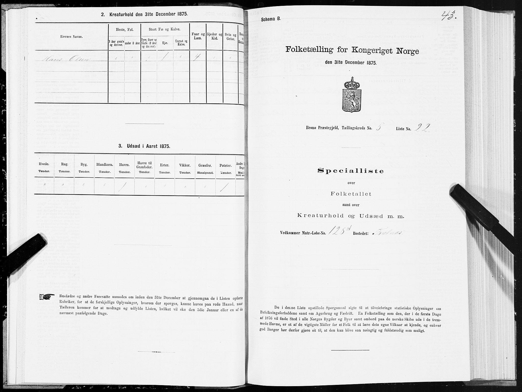 SAT, Folketelling 1875 for 1814P Brønnøy prestegjeld, 1875, s. 3043