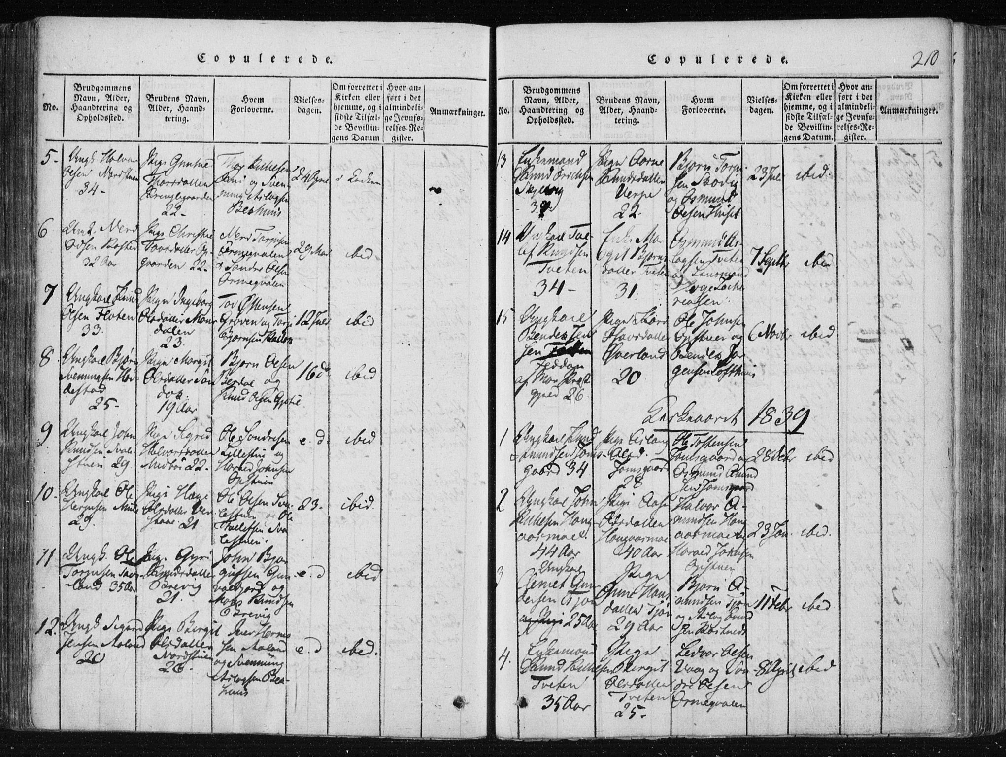 Vinje kirkebøker, AV/SAKO-A-312/F/Fa/L0003: Ministerialbok nr. I 3, 1814-1843, s. 210