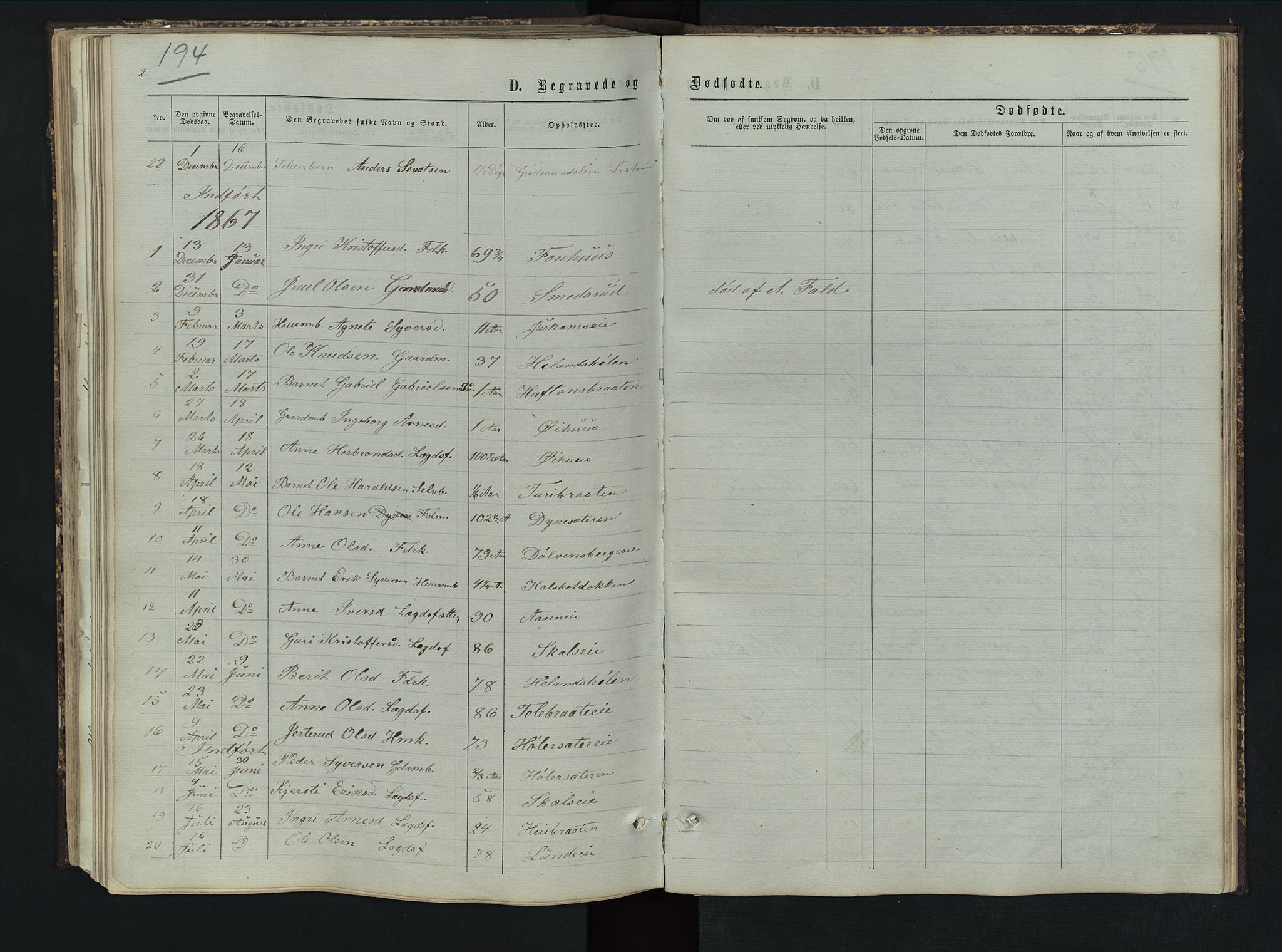 Sør-Aurdal prestekontor, AV/SAH-PREST-128/H/Ha/Hab/L0005: Klokkerbok nr. 5, 1866-1893, s. 194