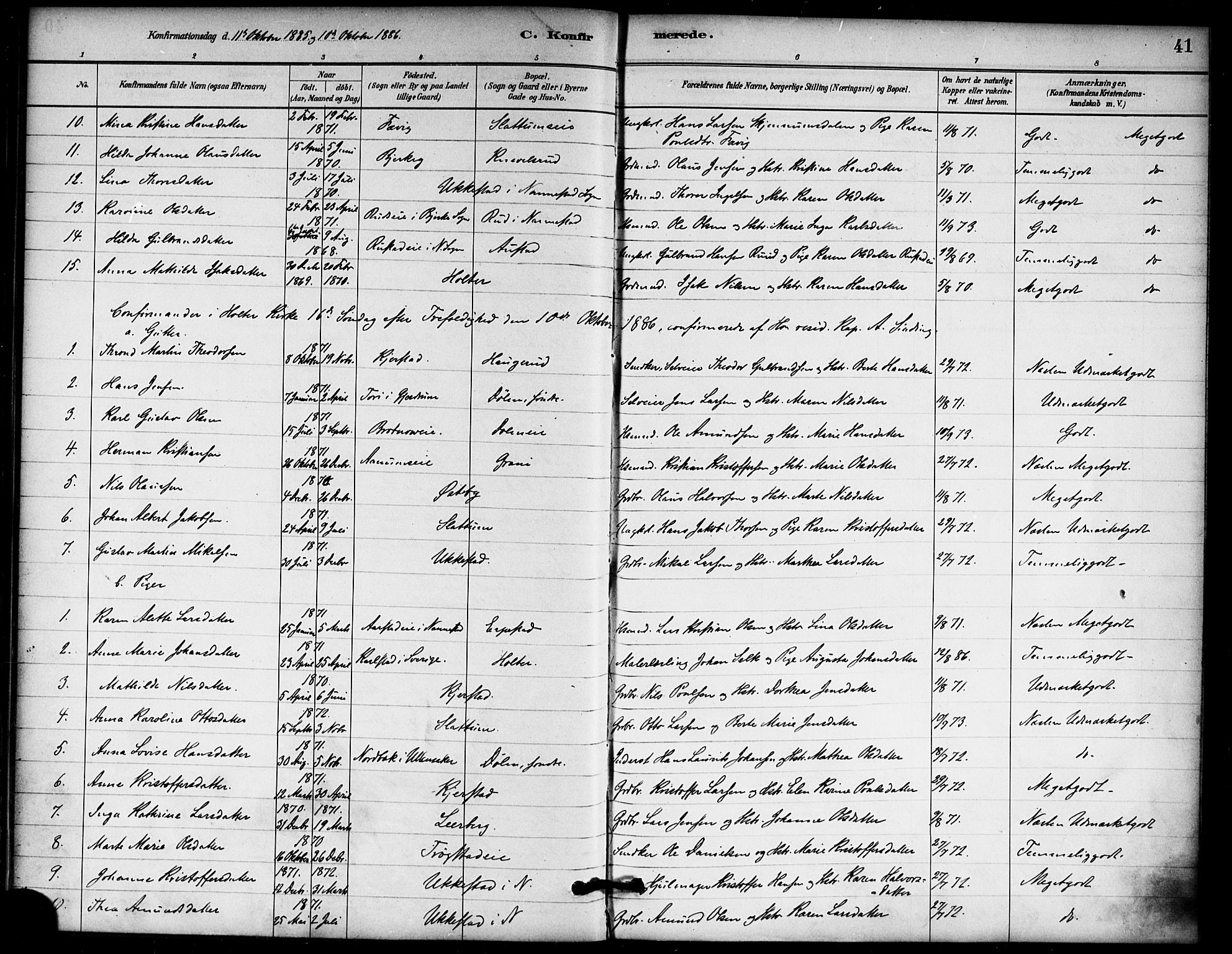 Nannestad prestekontor Kirkebøker, AV/SAO-A-10414a/F/Fb/L0001: Ministerialbok nr. II 1, 1881-1890, s. 41