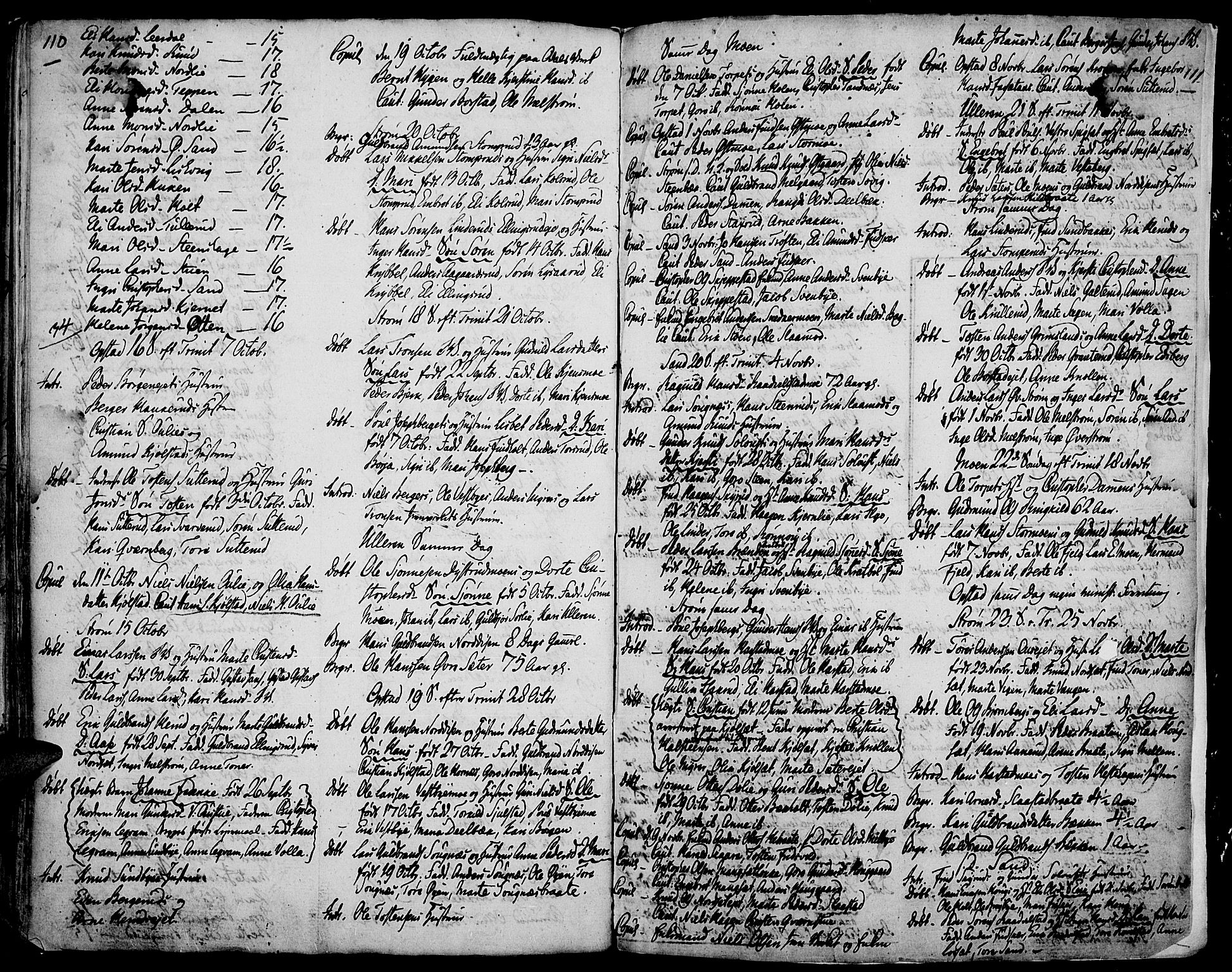 Strøm-Odalen prestekontor, AV/SAH-PREST-028/H/Ha/Haa/L0004: Ministerialbok nr. 4, 1804-1810, s. 110-111