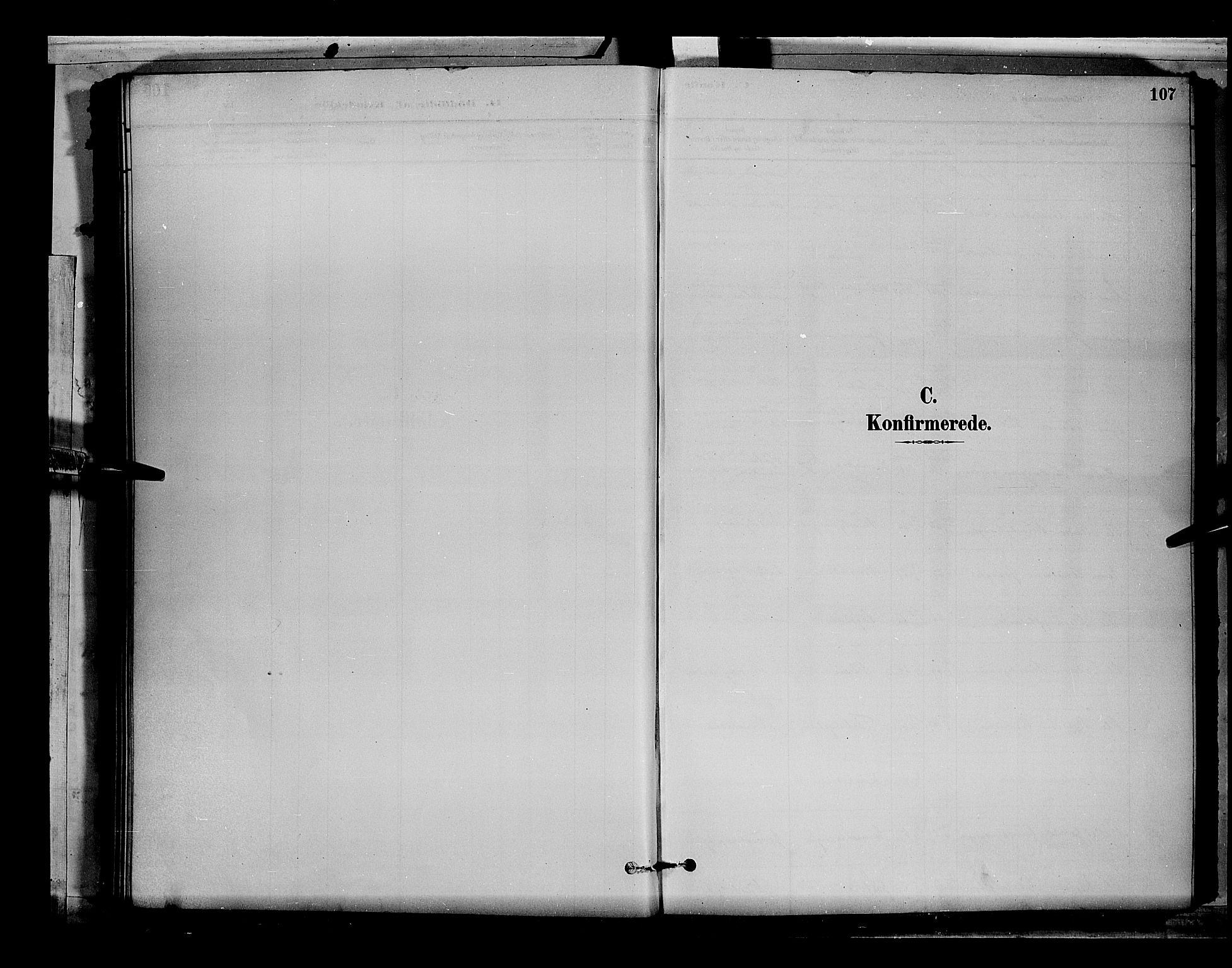 Stange prestekontor, SAH/PREST-002/L/L0008: Klokkerbok nr. 8, 1882-1895, s. 107