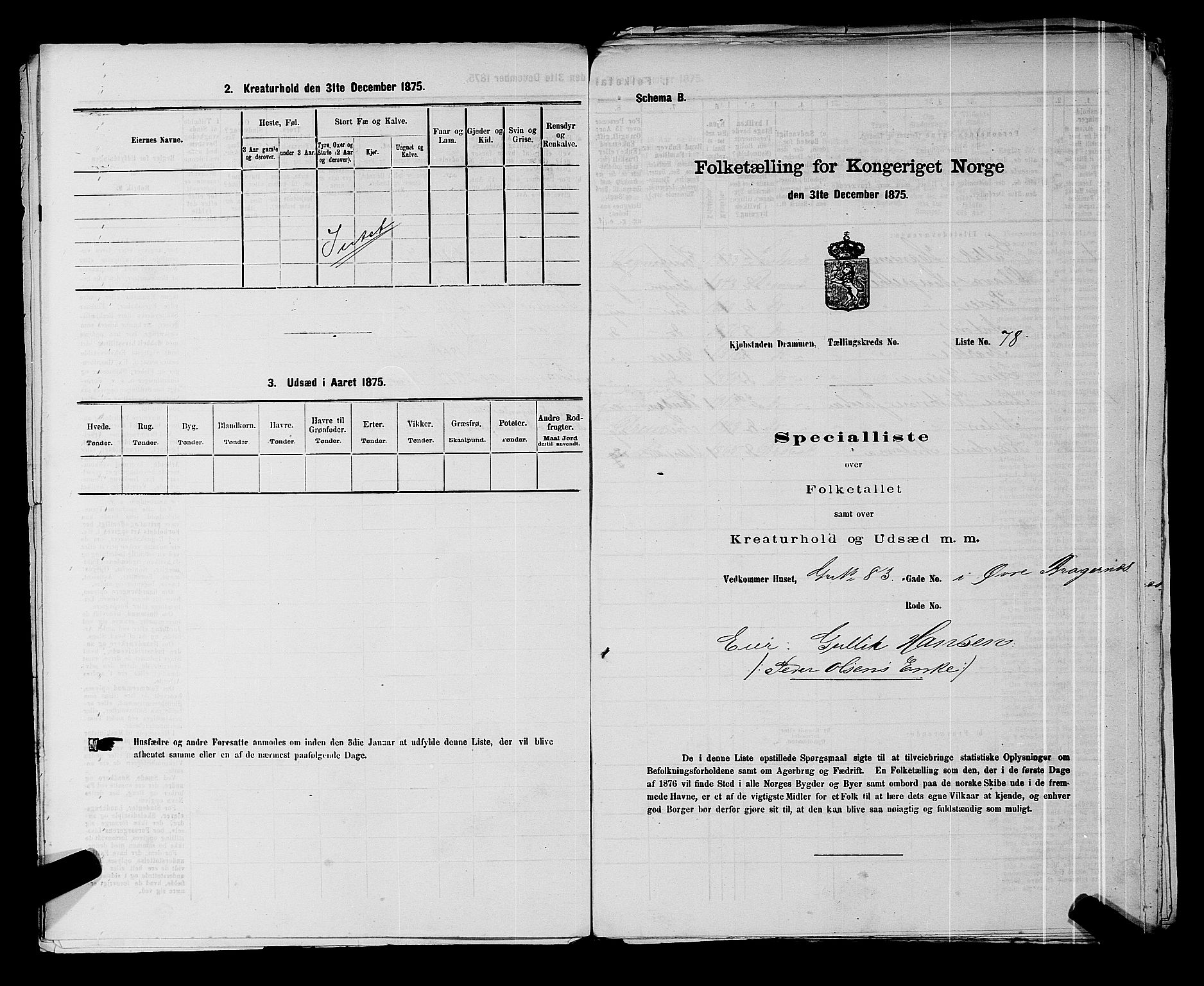 SAKO, Folketelling 1875 for 0602 Drammen kjøpstad, 1875, s. 391