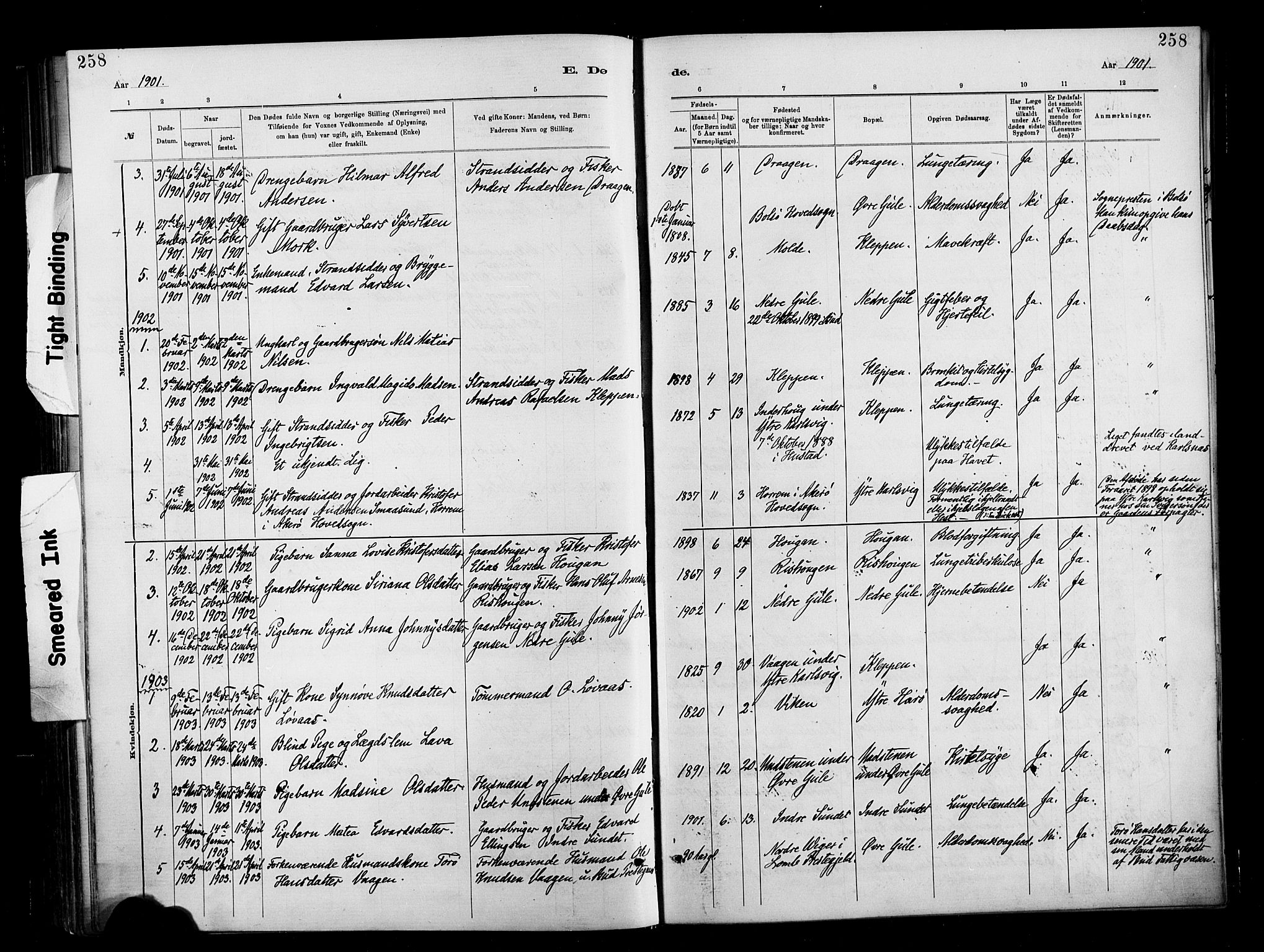 Ministerialprotokoller, klokkerbøker og fødselsregistre - Møre og Romsdal, AV/SAT-A-1454/566/L0769: Ministerialbok nr. 566A08, 1881-1903, s. 258