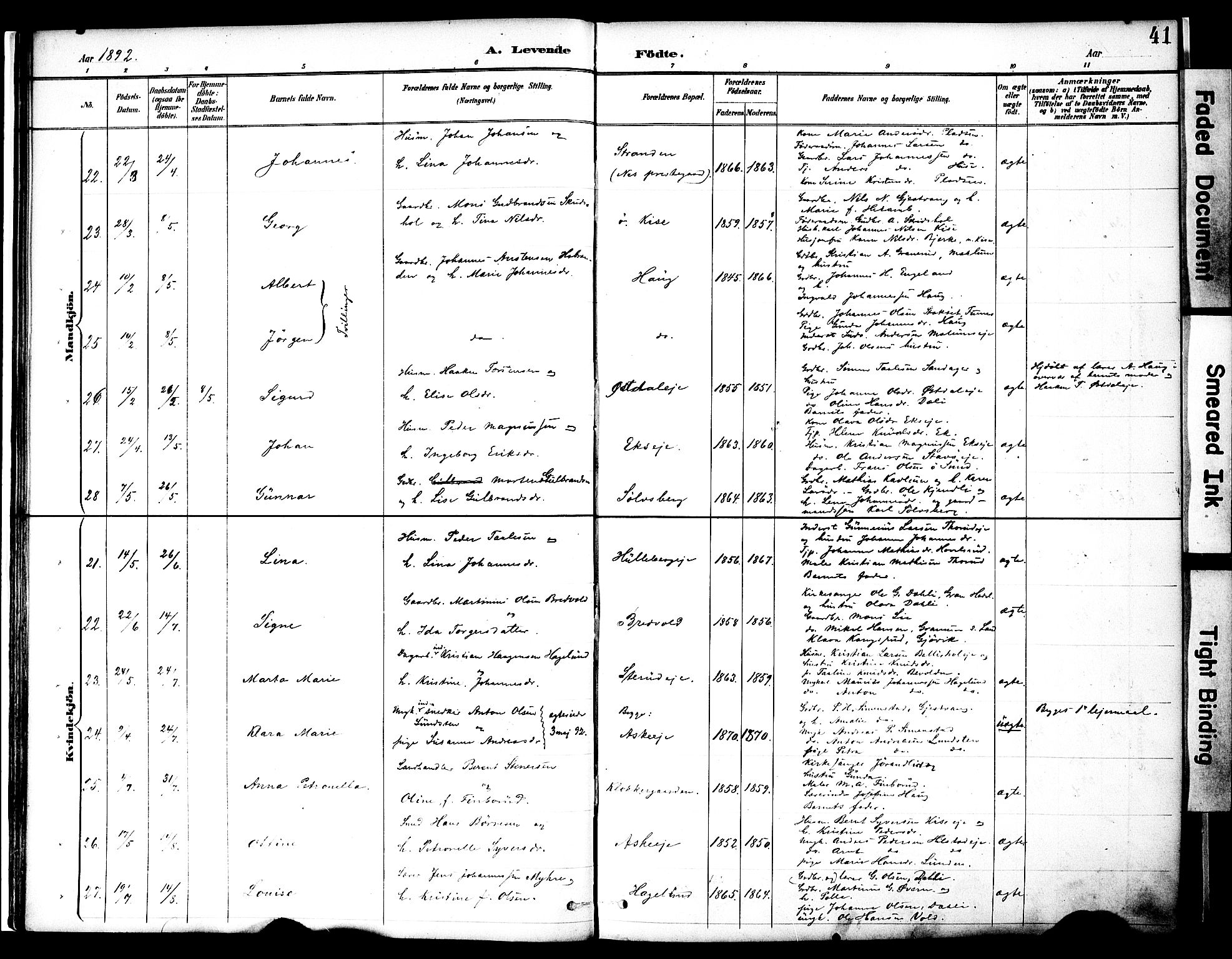 Nes prestekontor, Hedmark, AV/SAH-PREST-020/K/Ka/L0009: Ministerialbok nr. 9, 1887-1905, s. 41