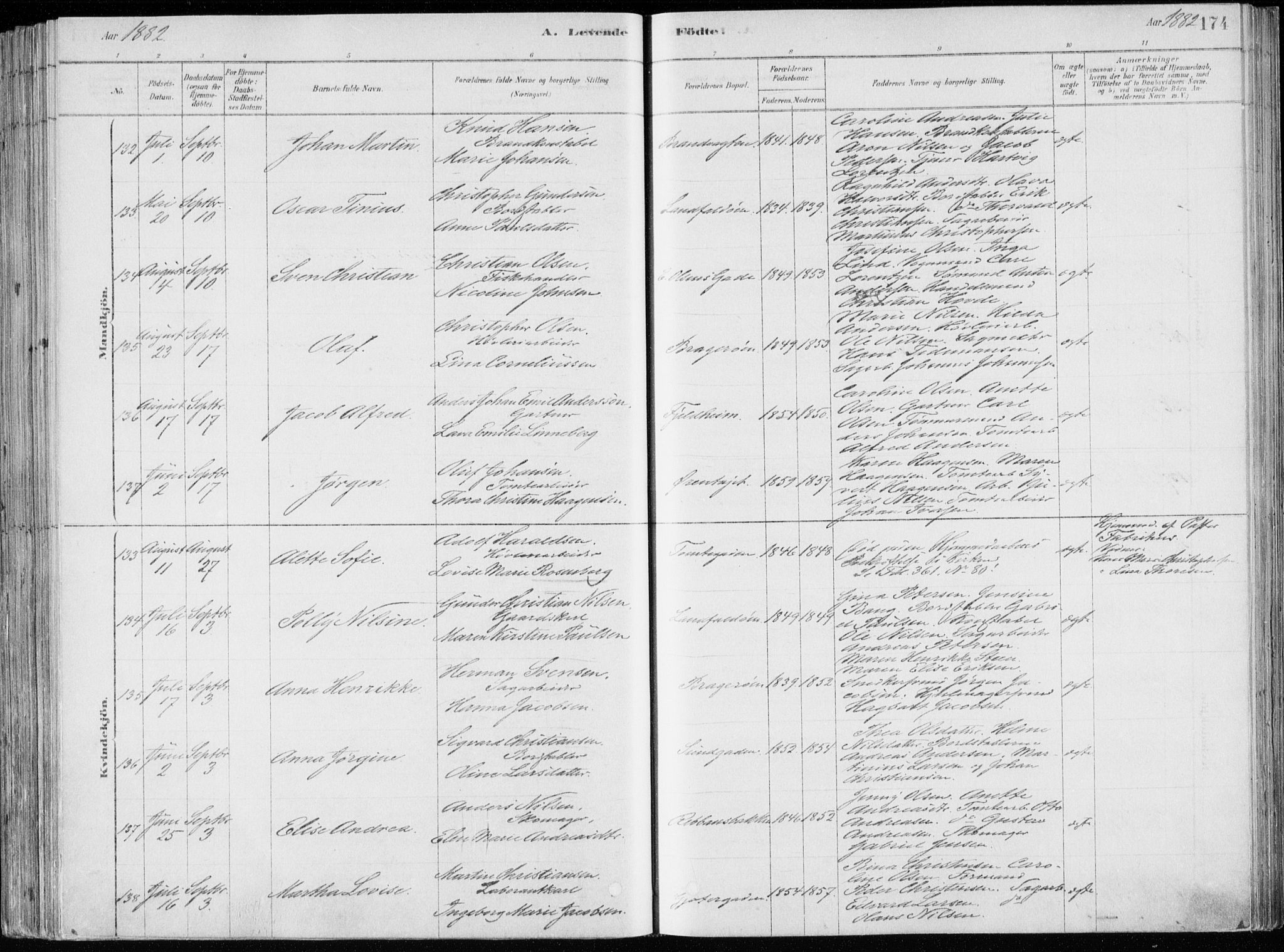 Bragernes kirkebøker, AV/SAKO-A-6/F/Fb/L0006a: Ministerialbok nr. II 6A, 1878-1885, s. 174