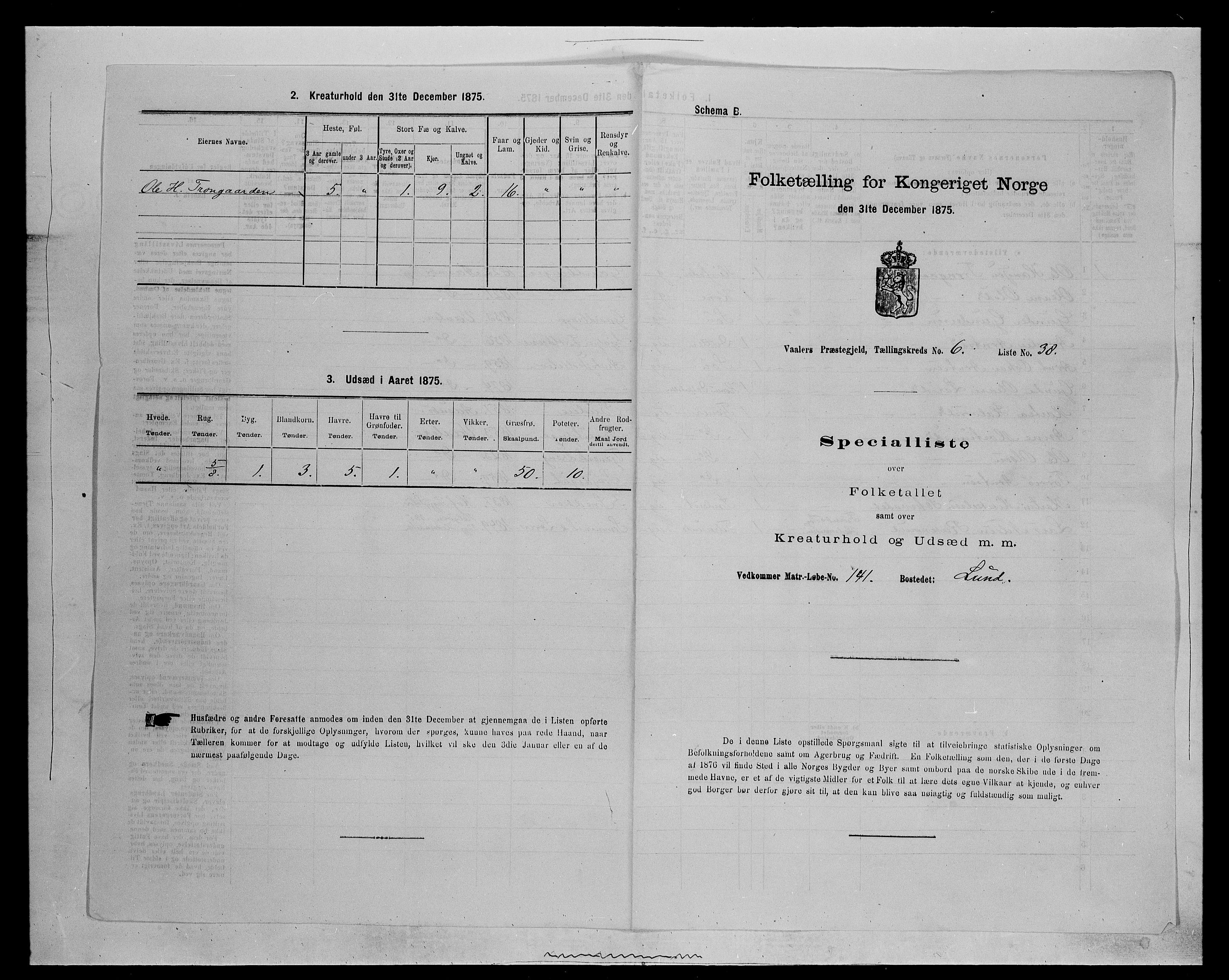 SAH, Folketelling 1875 for 0426P Våler prestegjeld (Hedmark), 1875, s. 789