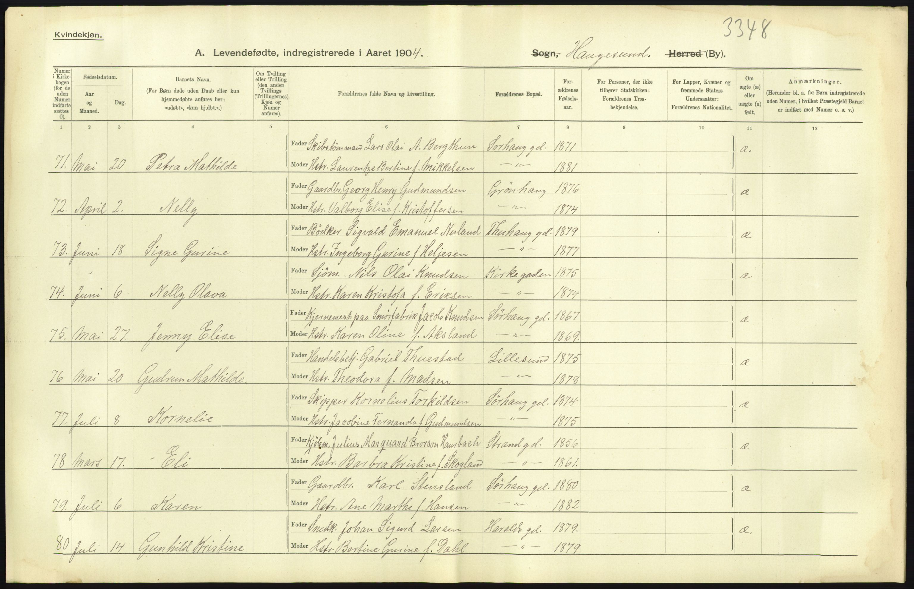 Statistisk sentralbyrå, Sosiodemografiske emner, Befolkning, RA/S-2228/D/Df/Dfa/Dfab/L0012: Stavanger amt: Fødte, gifte, døde, 1904, s. 19