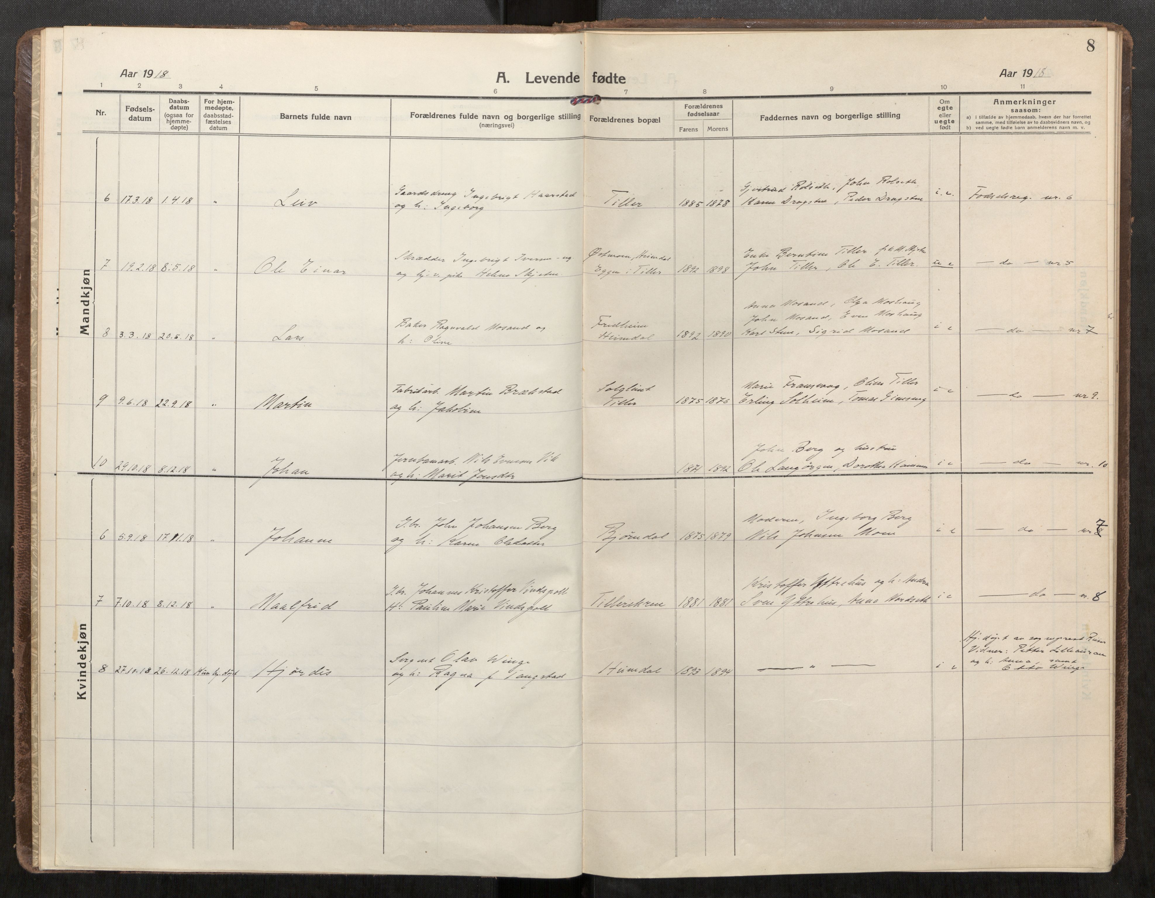 Klæbu sokneprestkontor, AV/SAT-A-1112: Ministerialbok nr. 3, 1917-1924, s. 8
