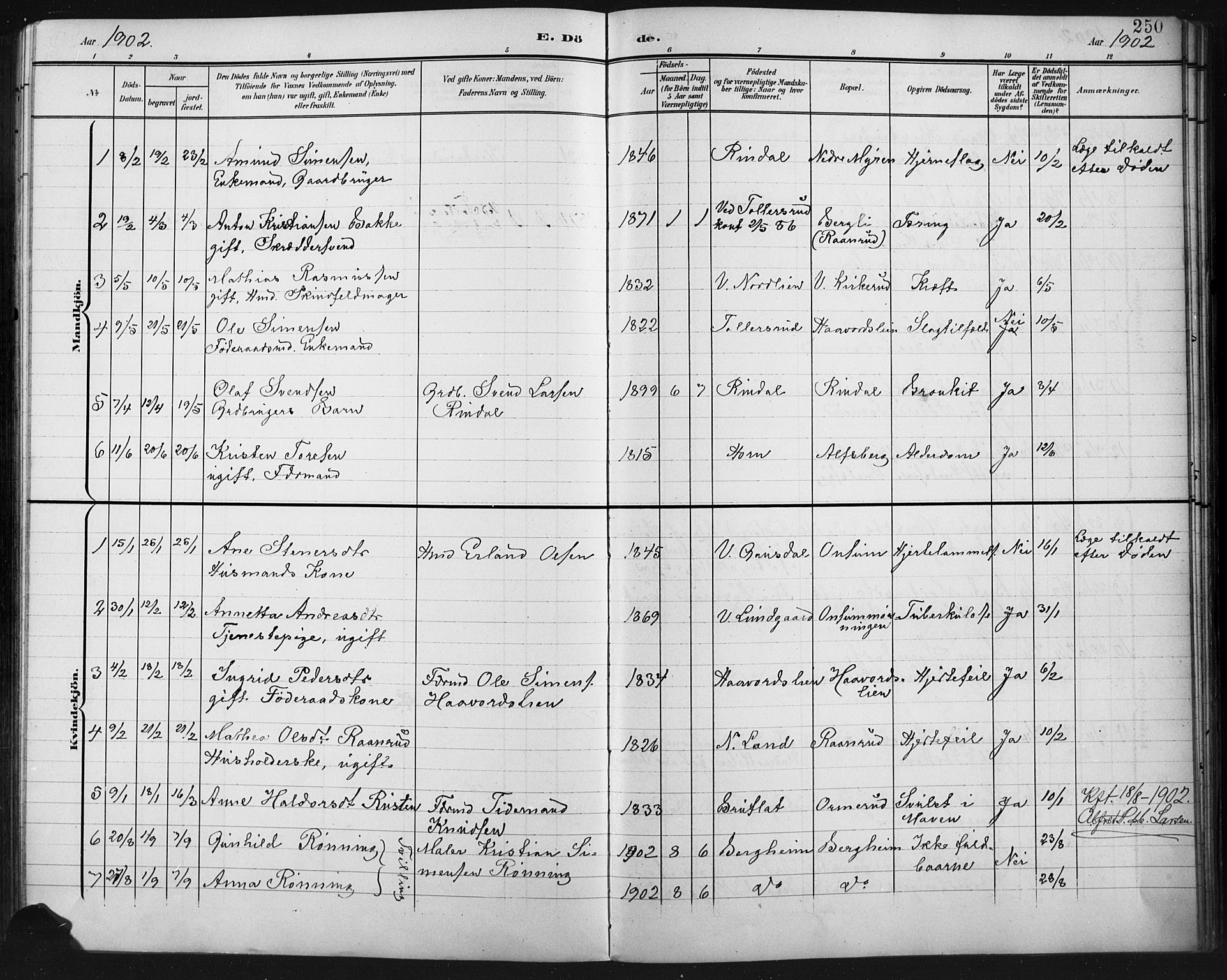 Fåberg prestekontor, AV/SAH-PREST-086/H/Ha/Hab/L0011: Klokkerbok nr. 11, 1901-1921, s. 250