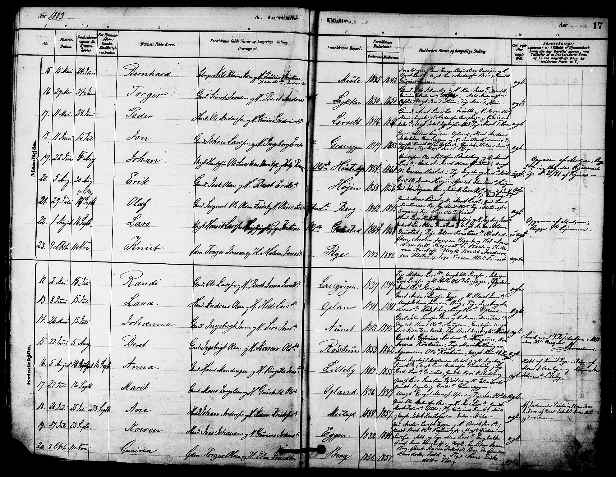 Ministerialprotokoller, klokkerbøker og fødselsregistre - Sør-Trøndelag, SAT/A-1456/612/L0378: Ministerialbok nr. 612A10, 1878-1897, s. 17