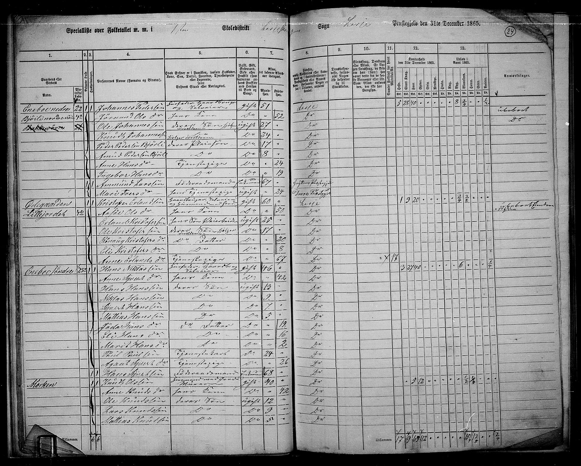 RA, Folketelling 1865 for 0512P Lesja prestegjeld, 1865, s. 25