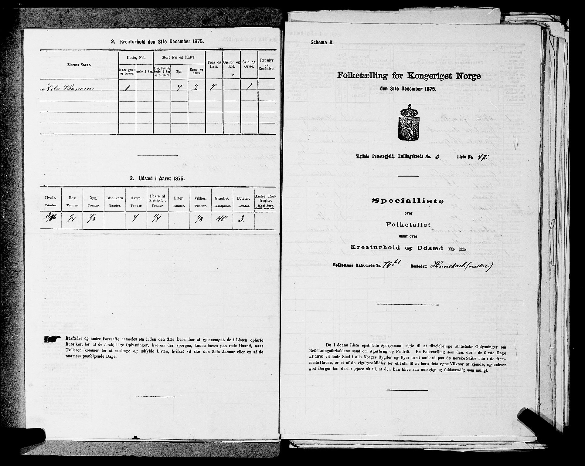 SAKO, Folketelling 1875 for 0621P Sigdal prestegjeld, 1875, s. 404