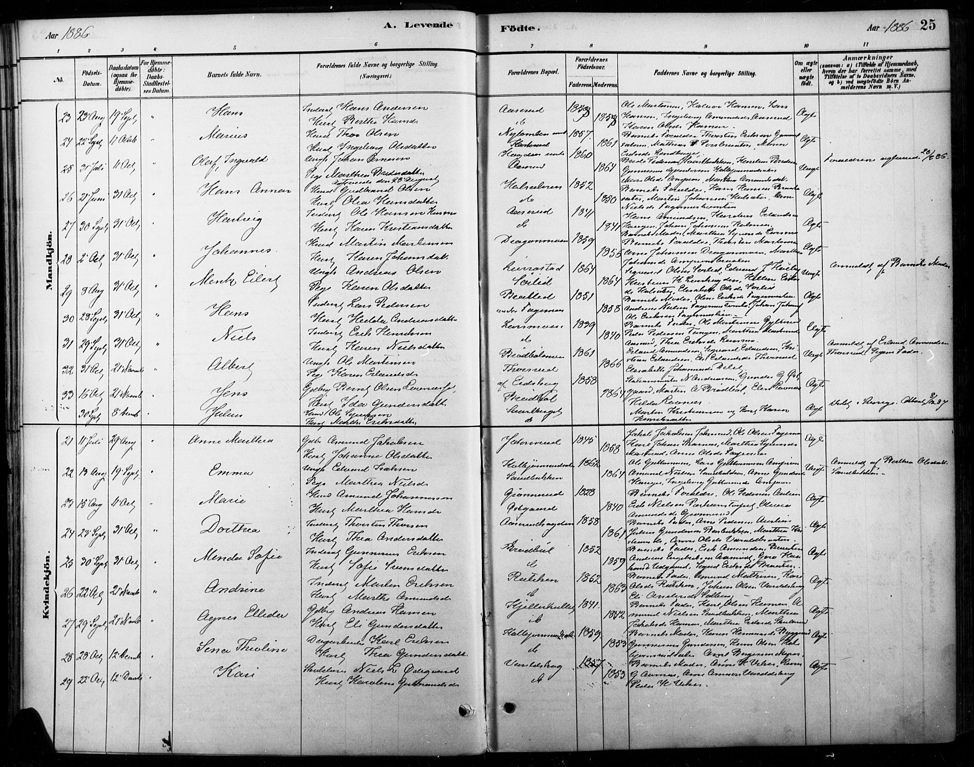 Vinger prestekontor, AV/SAH-PREST-024/H/Ha/Haa/L0015: Ministerialbok nr. 15, 1881-1900, s. 25