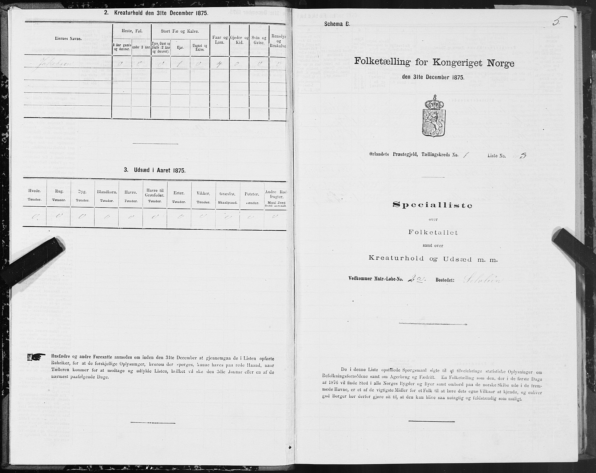 SAT, Folketelling 1875 for 1621P Ørland prestegjeld, 1875, s. 1005