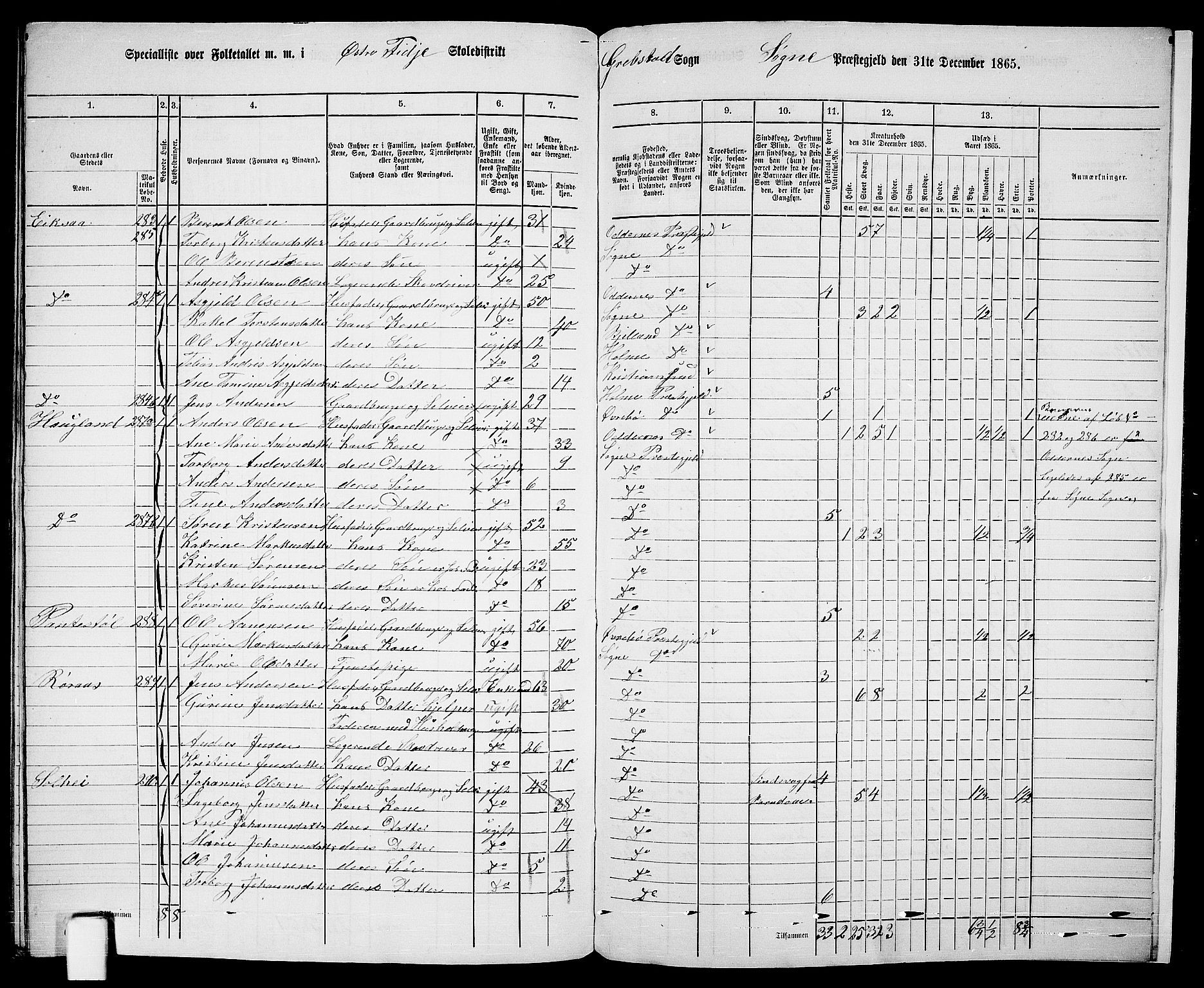 RA, Folketelling 1865 for 1018P Søgne prestegjeld, 1865, s. 155