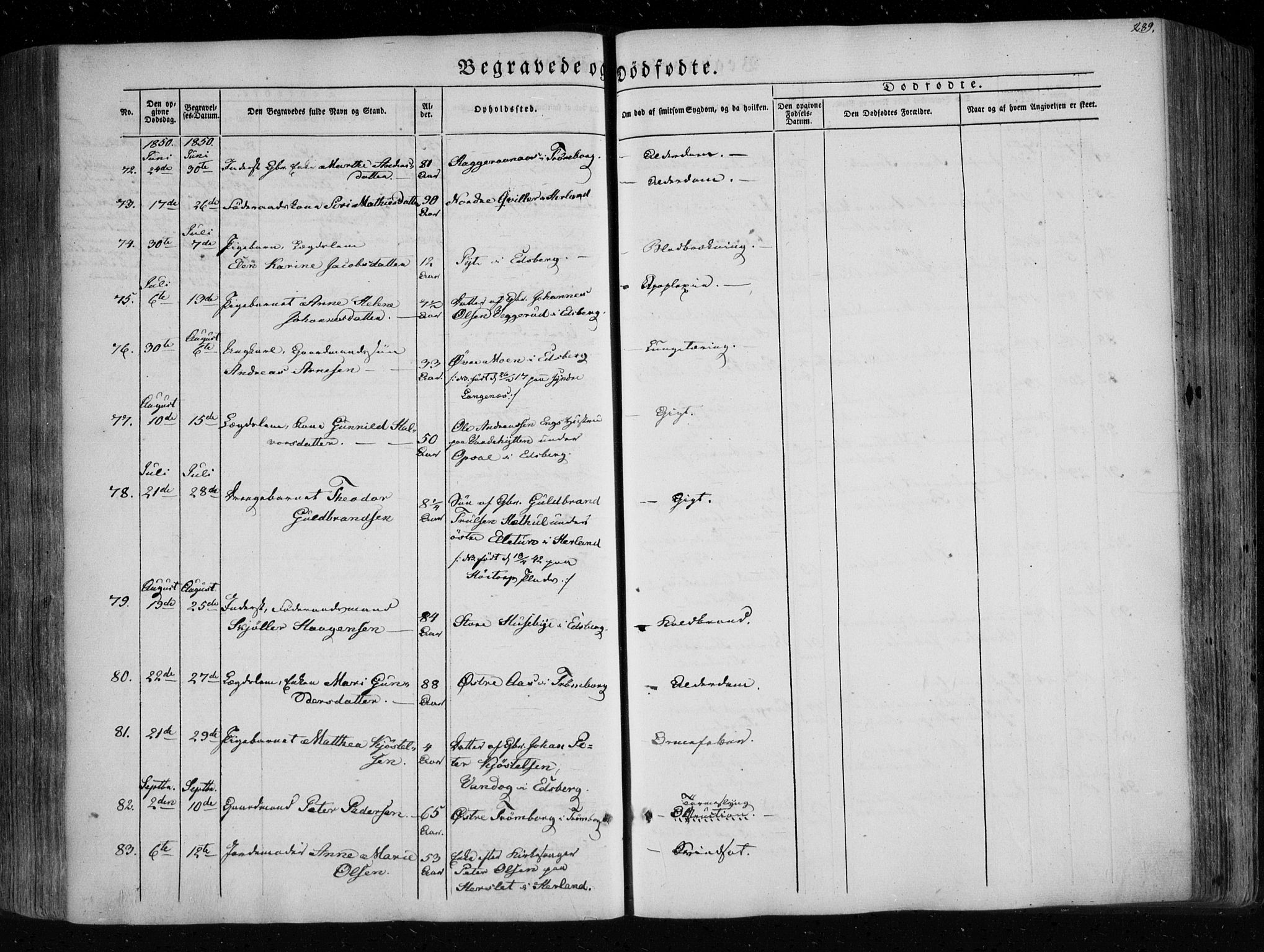 Eidsberg prestekontor Kirkebøker, AV/SAO-A-10905/F/Fa/L0009: Ministerialbok nr. I 9, 1849-1856, s. 289