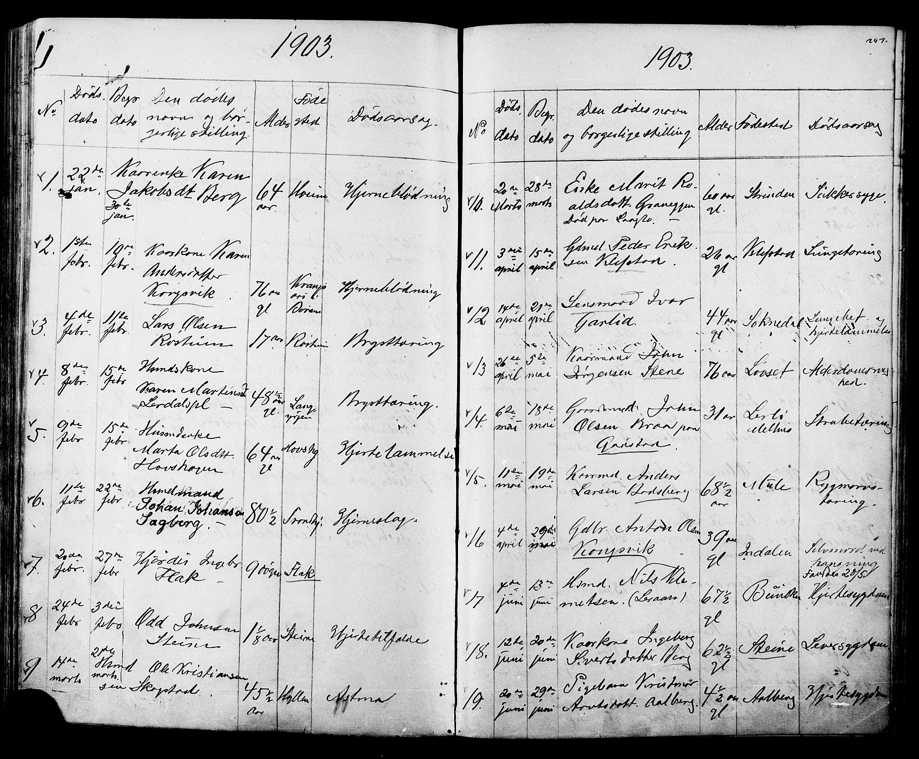 Ministerialprotokoller, klokkerbøker og fødselsregistre - Sør-Trøndelag, AV/SAT-A-1456/612/L0387: Klokkerbok nr. 612C03, 1874-1908, s. 247