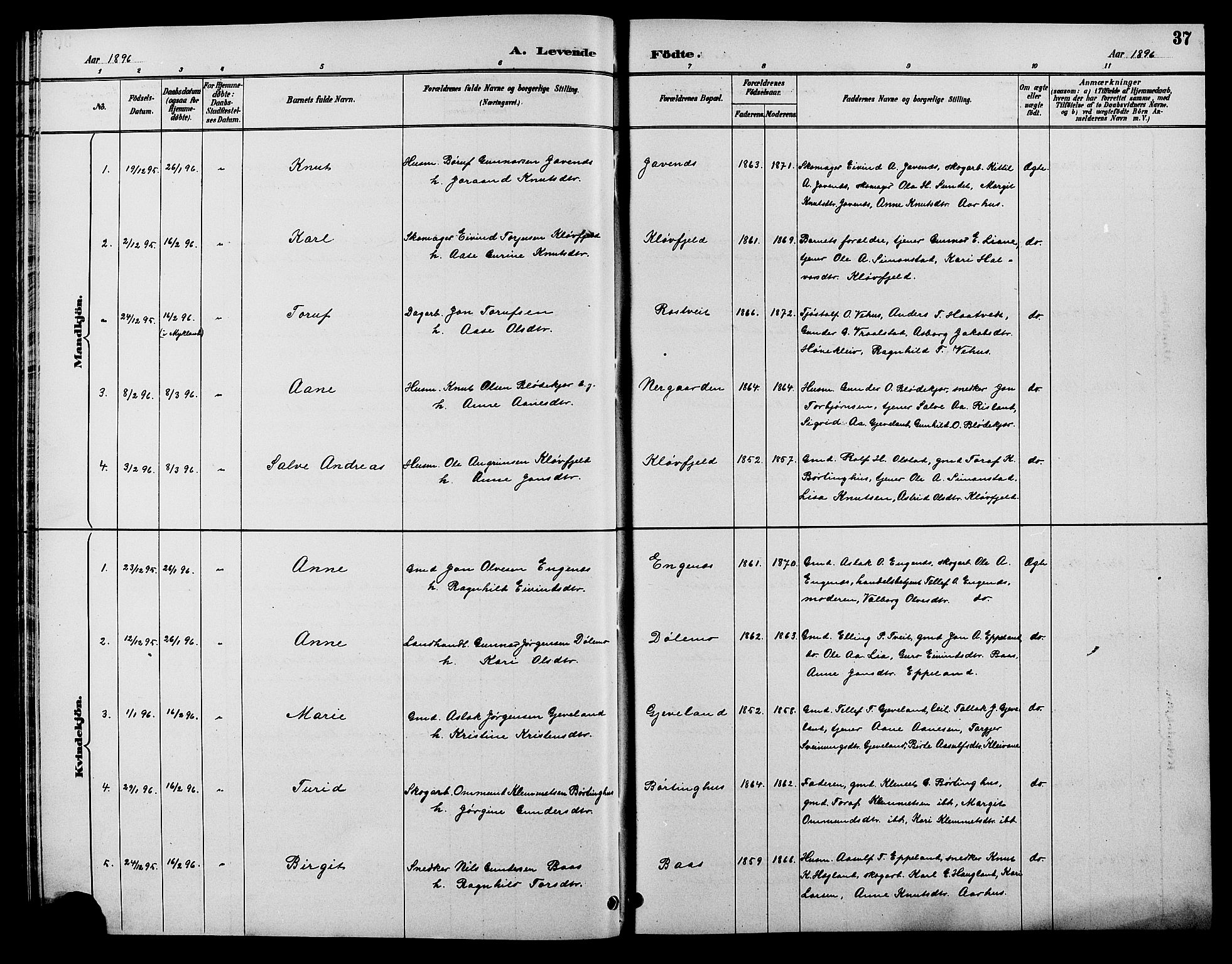 Åmli sokneprestkontor, SAK/1111-0050/F/Fb/Fbc/L0004: Klokkerbok nr. B 4, 1889-1902, s. 37