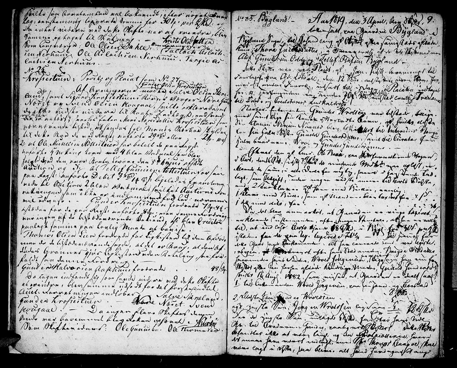 Setesdal sorenskriveri, AV/SAK-1221-0011/H/Hc/L0018: Skifteforhandlingsprotokoll nr 17 Ose tinglag, fra 1823 også Hornnes tinglag, 1817-1825, s. 8b-9a