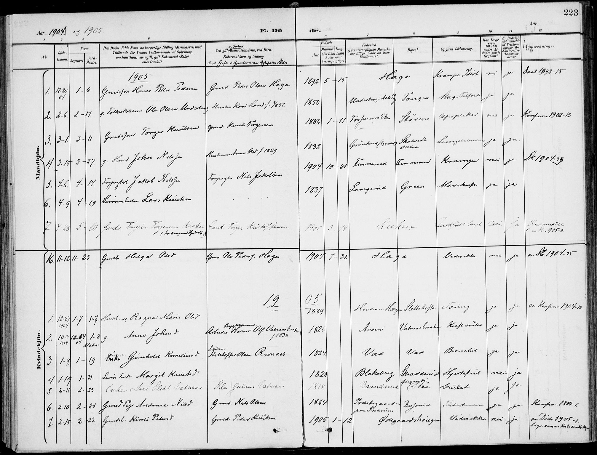 Sigdal kirkebøker, AV/SAKO-A-245/F/Fb/L0002: Ministerialbok nr. II 2, 1901-1914, s. 223