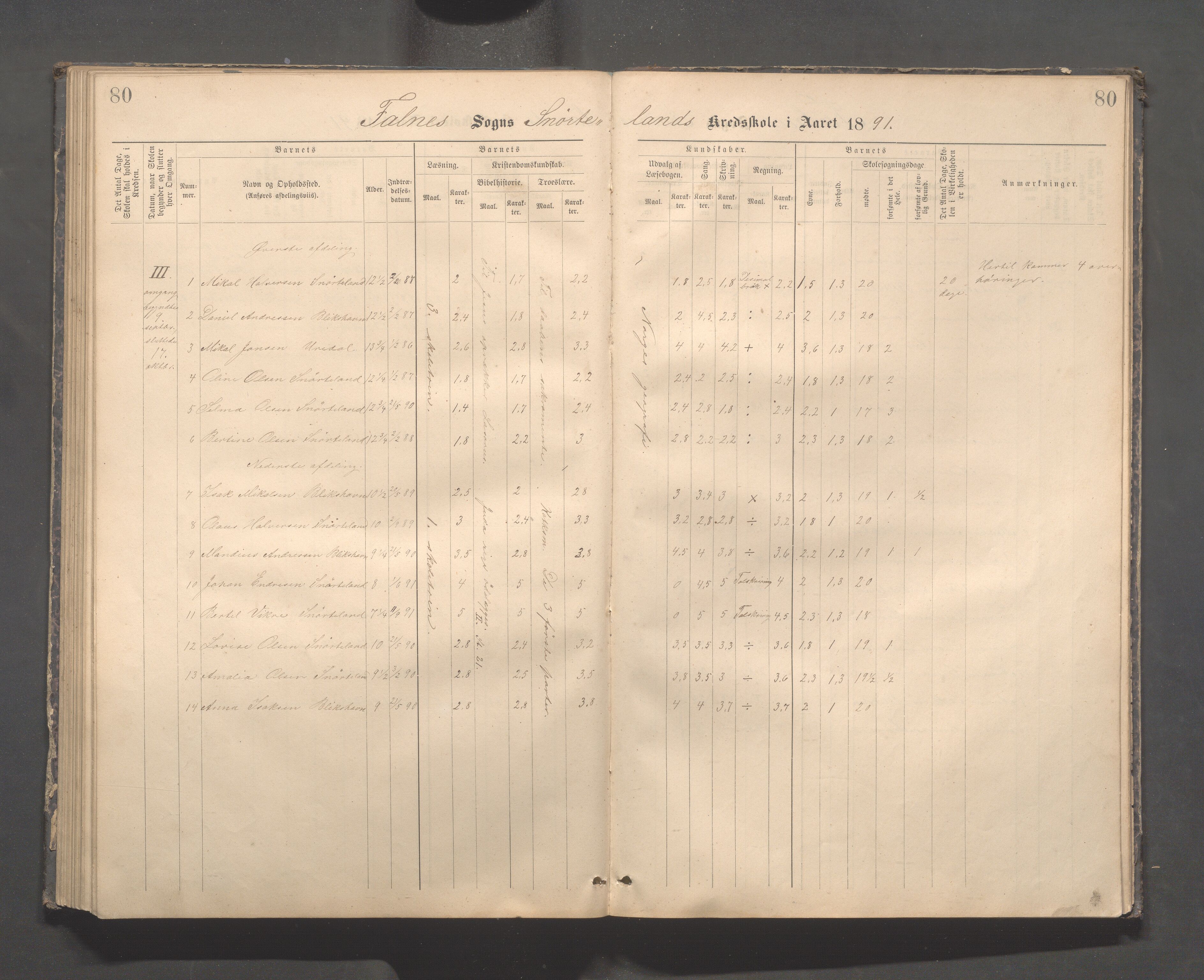 Skudenes kommune - Dale - Hillesland - Snørteland skolekretser, IKAR/A-306/H/L0003: Dale - Hillesland - Snørteland, 1883-1892, s. 80