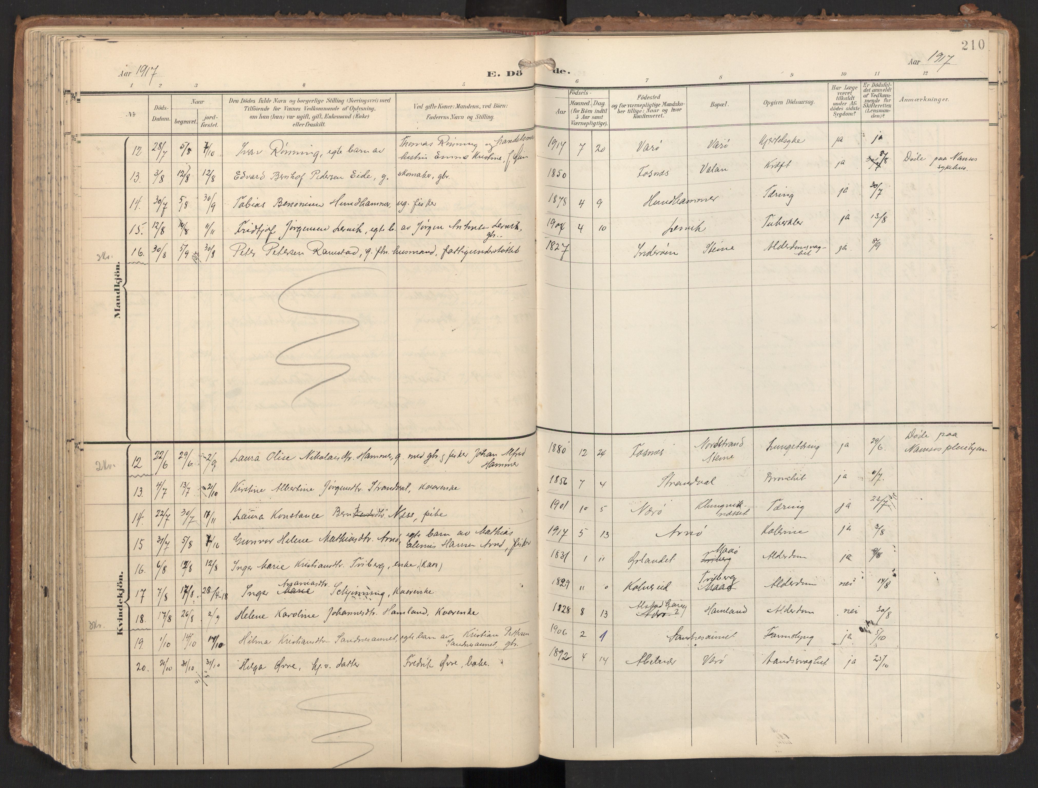 Ministerialprotokoller, klokkerbøker og fødselsregistre - Nord-Trøndelag, AV/SAT-A-1458/784/L0677: Ministerialbok nr. 784A12, 1900-1920, s. 210