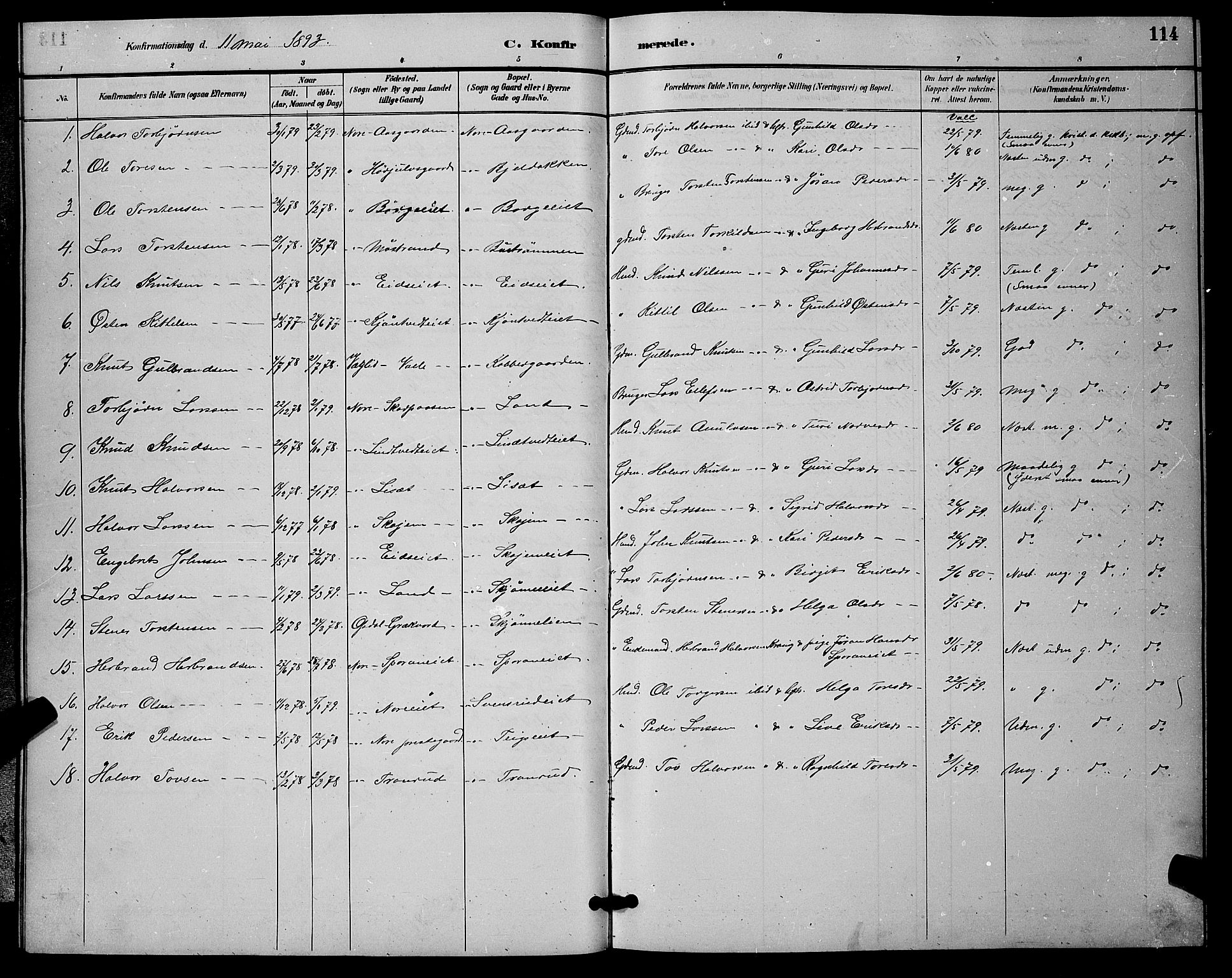 Nore kirkebøker, AV/SAKO-A-238/G/Ga/L0003: Klokkerbok nr. I 3, 1886-1903, s. 114
