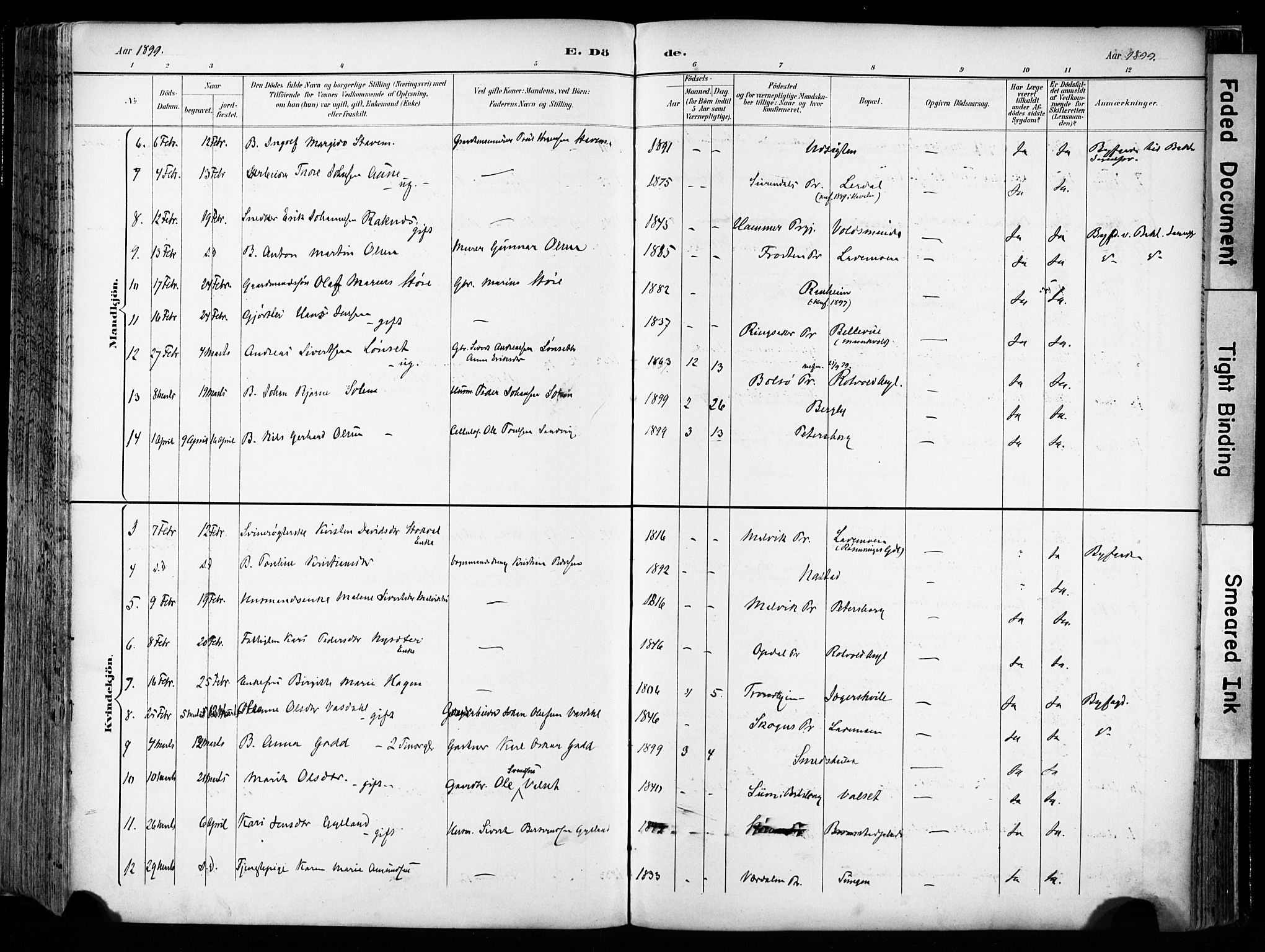 Ministerialprotokoller, klokkerbøker og fødselsregistre - Sør-Trøndelag, SAT/A-1456/606/L0301: Ministerialbok nr. 606A16, 1894-1907