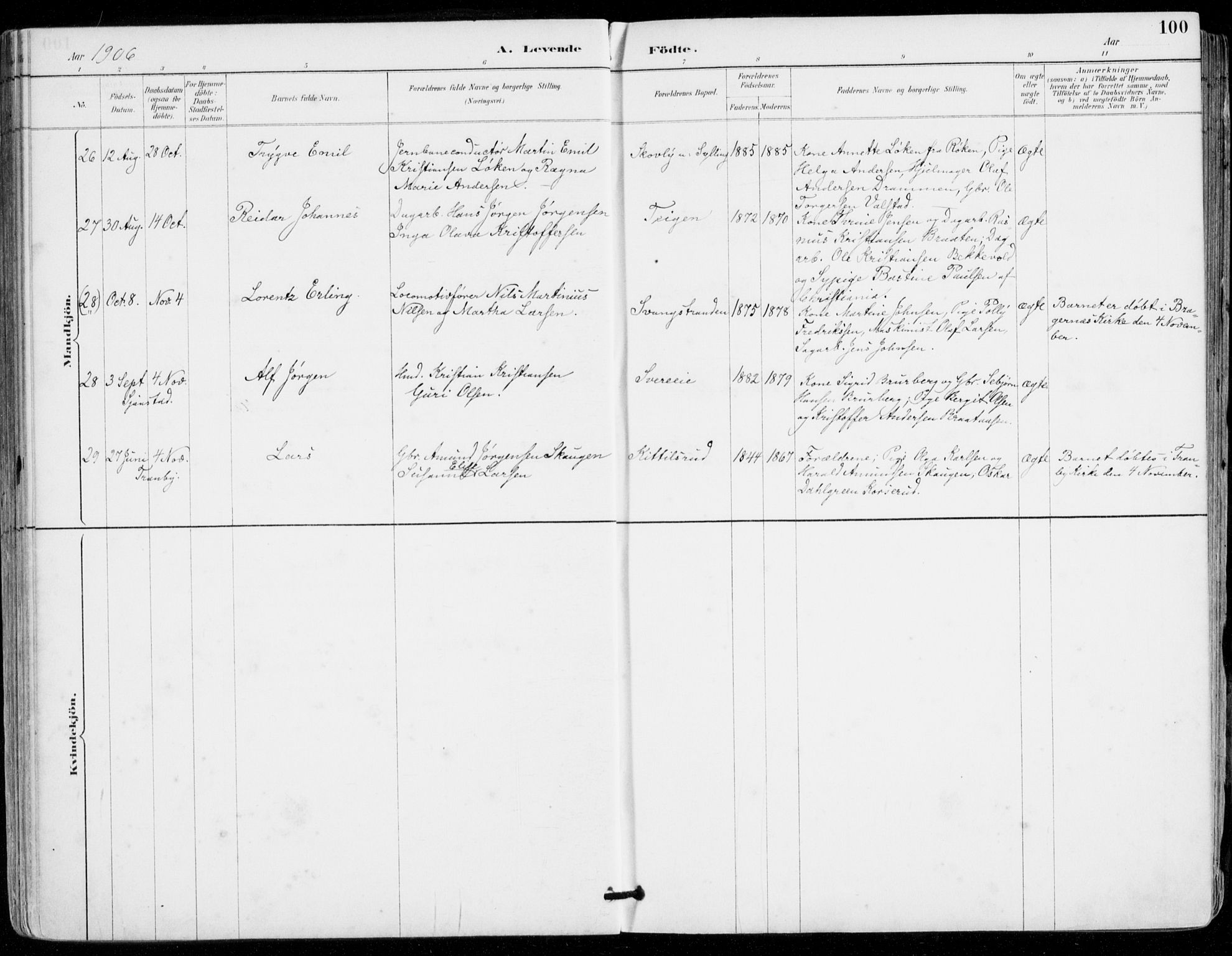 Sylling kirkebøker, AV/SAKO-A-247/F/Fa/L0001: Ministerialbok nr. 1, 1883-1910, s. 100