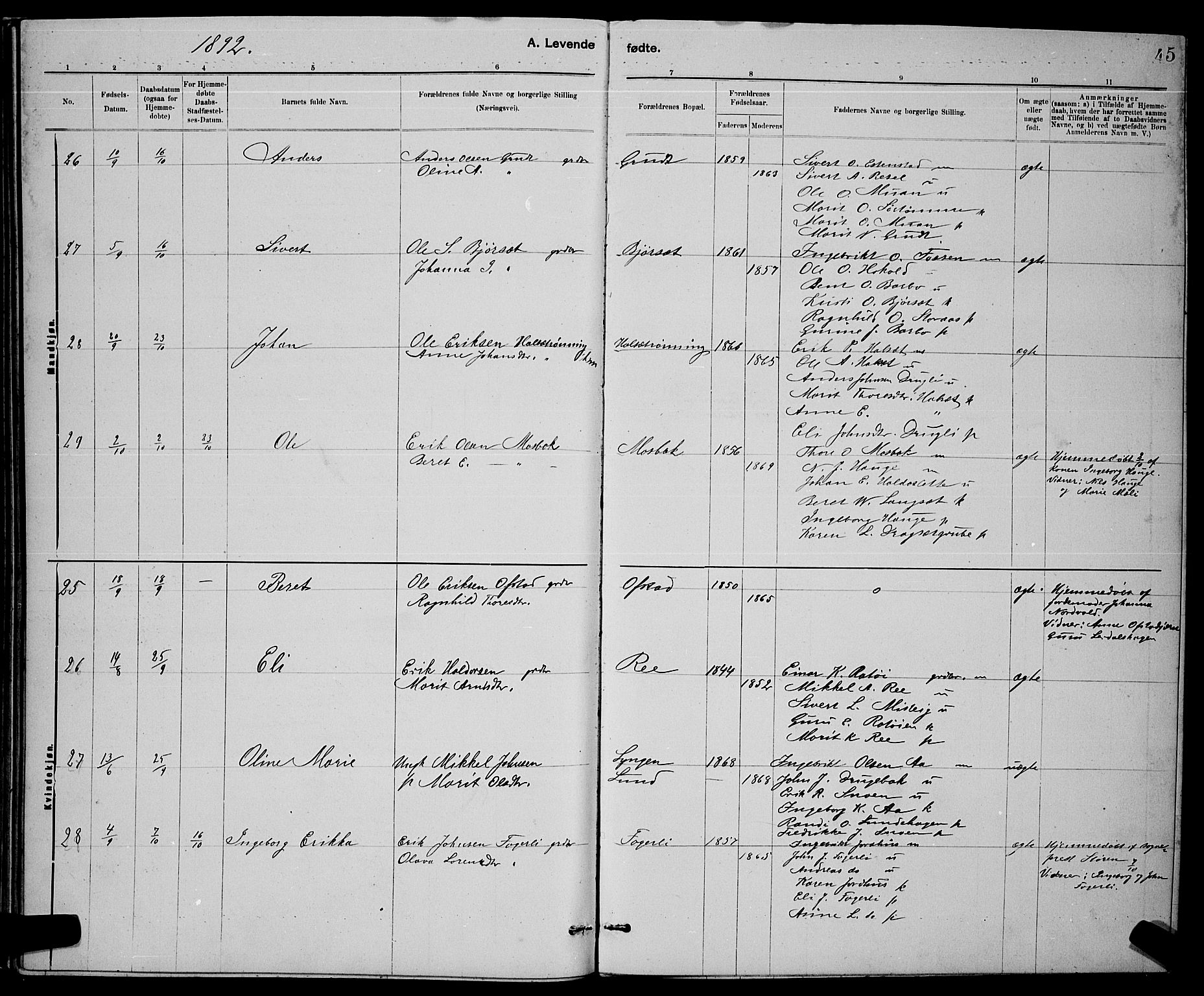 Ministerialprotokoller, klokkerbøker og fødselsregistre - Sør-Trøndelag, SAT/A-1456/672/L0863: Klokkerbok nr. 672C02, 1888-1901, s. 45