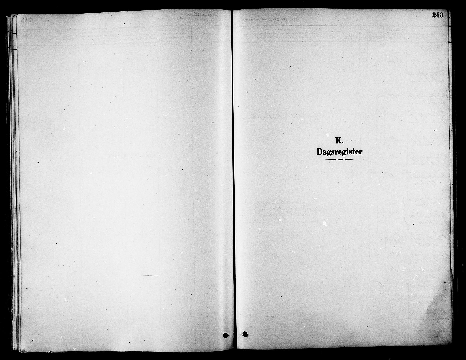 Skjervøy sokneprestkontor, SATØ/S-1300/H/Ha/Haa/L0009kirke: Ministerialbok nr. 9, 1878-1887, s. 243