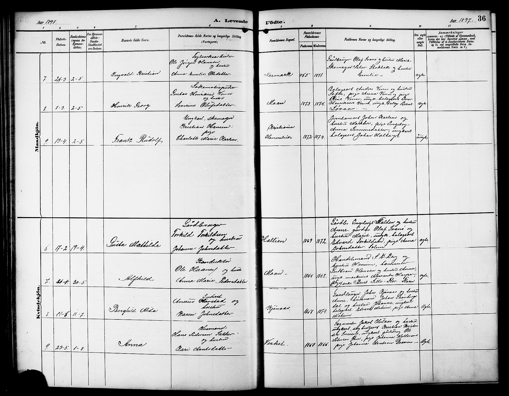 Ministerialprotokoller, klokkerbøker og fødselsregistre - Sør-Trøndelag, SAT/A-1456/617/L0431: Klokkerbok nr. 617C01, 1889-1910, s. 36
