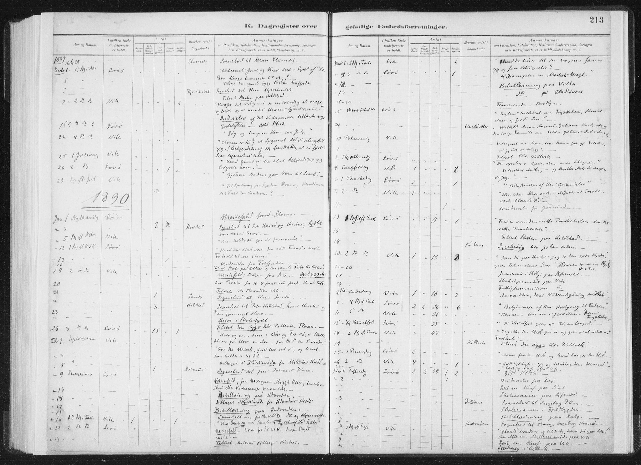 Ministerialprotokoller, klokkerbøker og fødselsregistre - Nord-Trøndelag, SAT/A-1458/771/L0597: Ministerialbok nr. 771A04, 1885-1910, s. 213