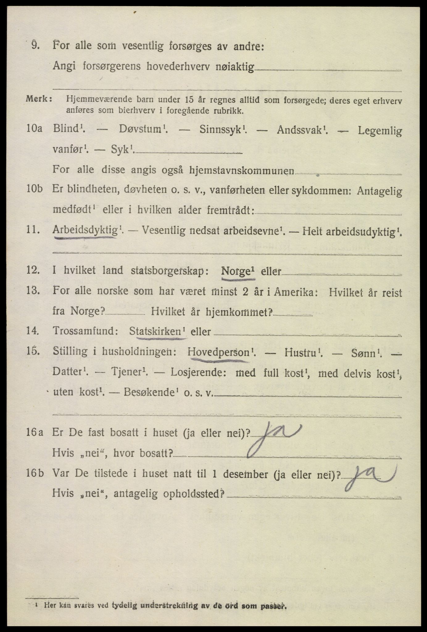 SAK, Folketelling 1920 for 0936 Hornnes herred, 1920, s. 3228