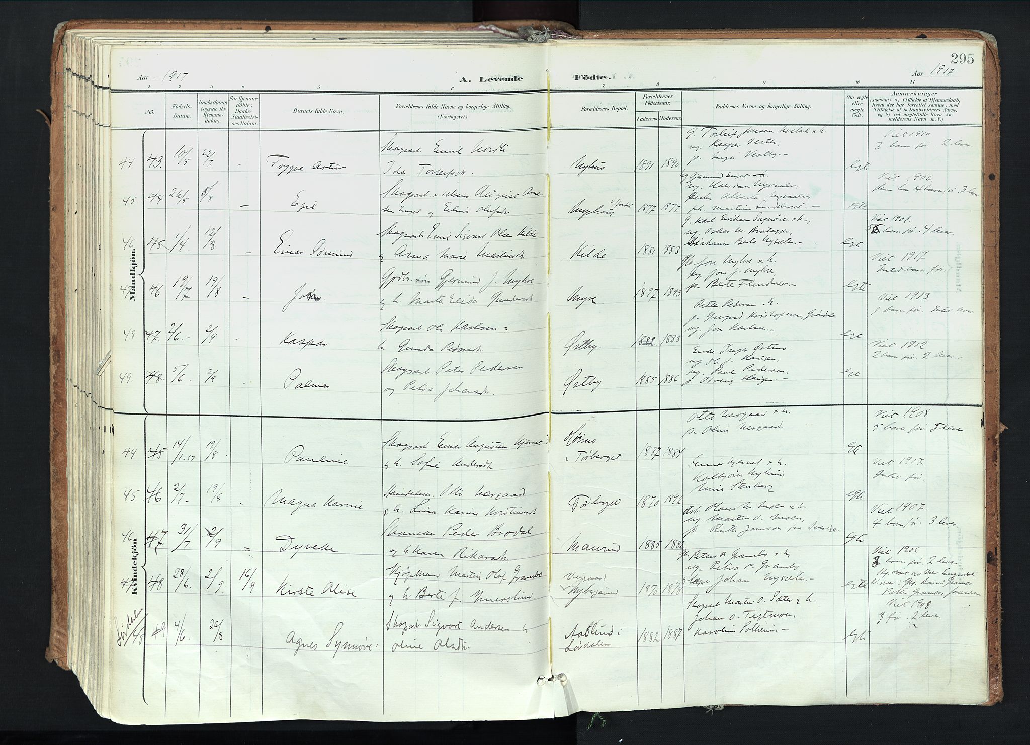 Trysil prestekontor, AV/SAH-PREST-046/H/Ha/Haa/L0012: Ministerialbok nr. 12, 1898-1917, s. 295