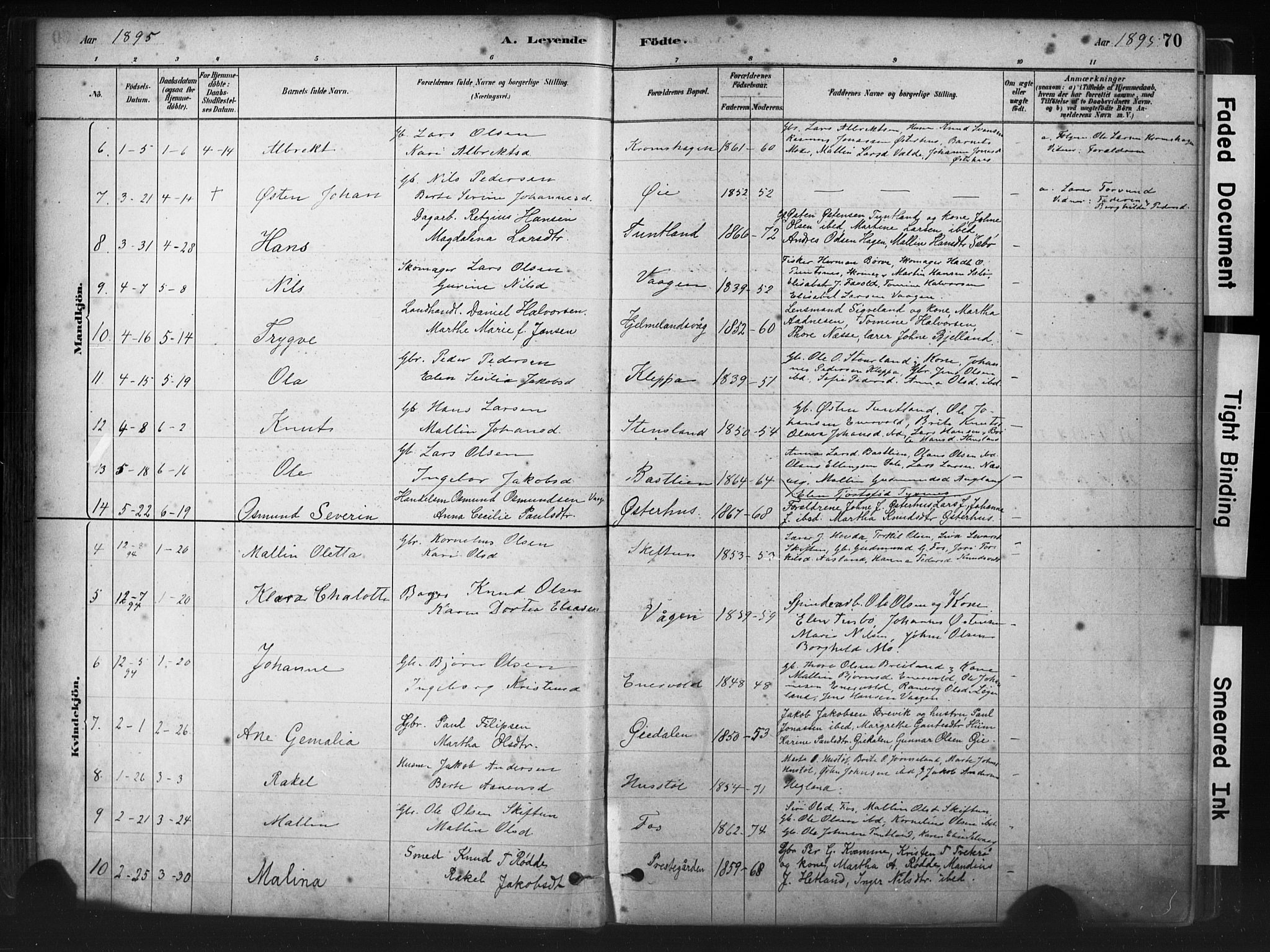 Hjelmeland sokneprestkontor, AV/SAST-A-101843/01/IV/L0014: Ministerialbok nr. A 14, 1879-1900, s. 70