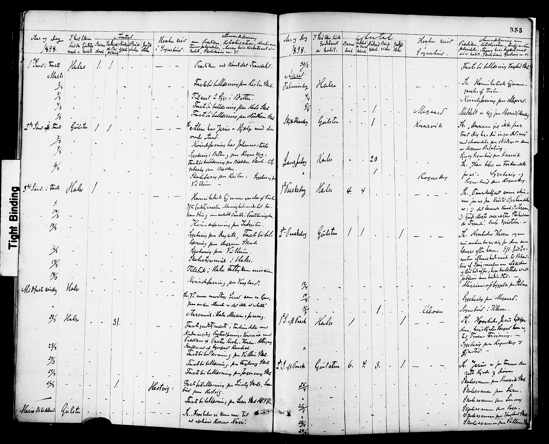 Ministerialprotokoller, klokkerbøker og fødselsregistre - Møre og Romsdal, AV/SAT-A-1454/576/L0885: Ministerialbok nr. 576A03, 1880-1898, s. 355