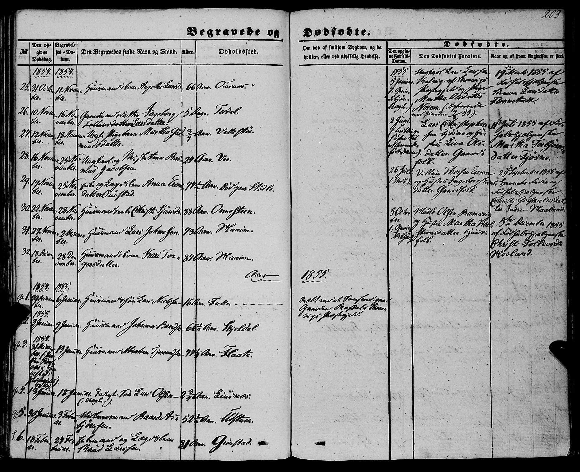 Etne sokneprestembete, AV/SAB-A-75001/H/Haa: Ministerialbok nr. A 8, 1848-1862, s. 203