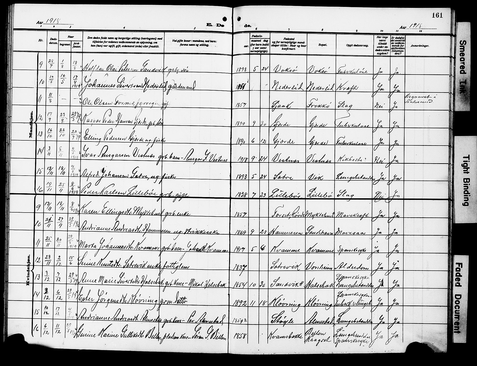 Ministerialprotokoller, klokkerbøker og fødselsregistre - Møre og Romsdal, AV/SAT-A-1454/503/L0050: Klokkerbok nr. 503C05, 1909-1922, s. 161