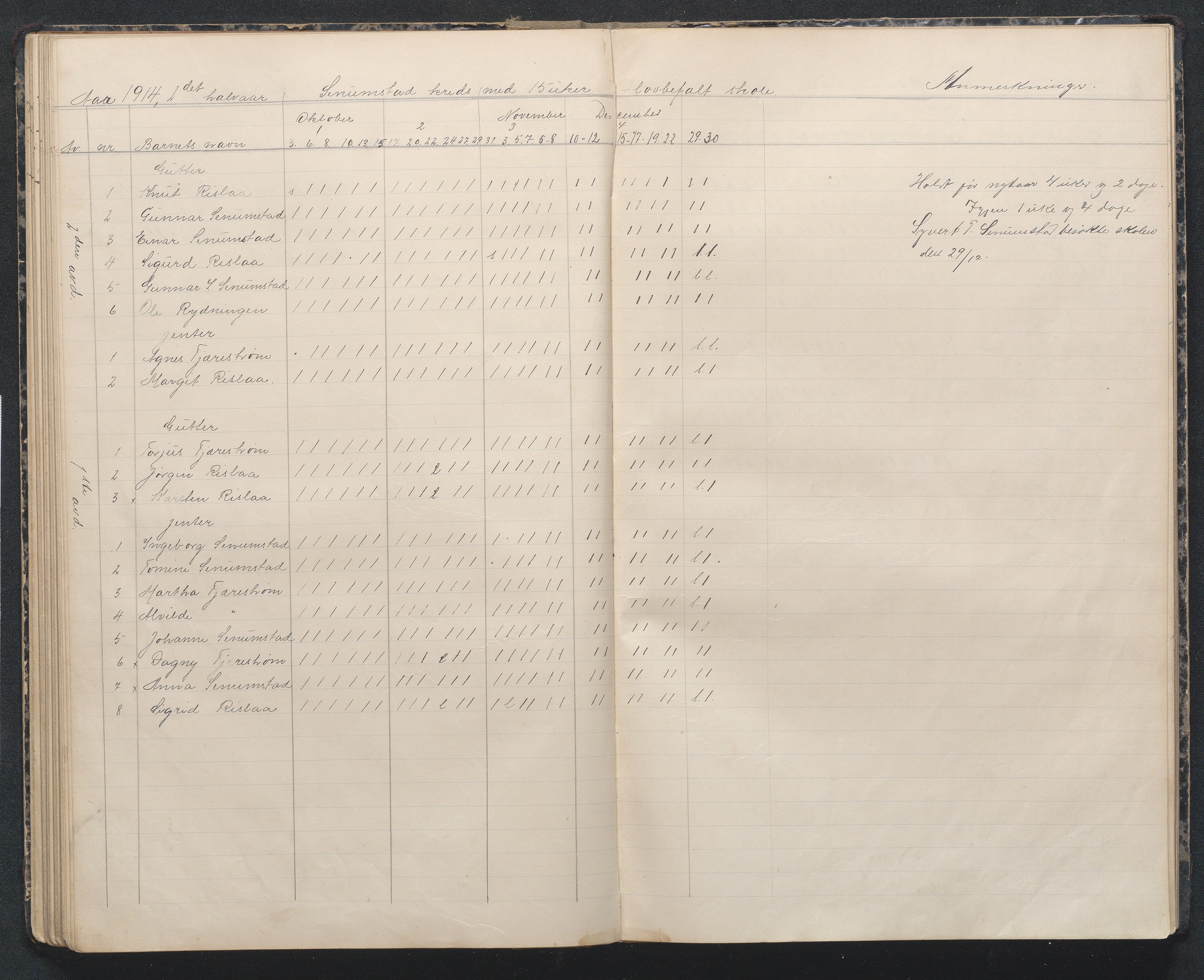 Birkenes kommune, Flå, Senumstad og Rislå skolekretser frem til 1991, AAMA/KA0928-550b_91/F02/L0002: Dagbok for Flå og Senumstad, 1903-1945