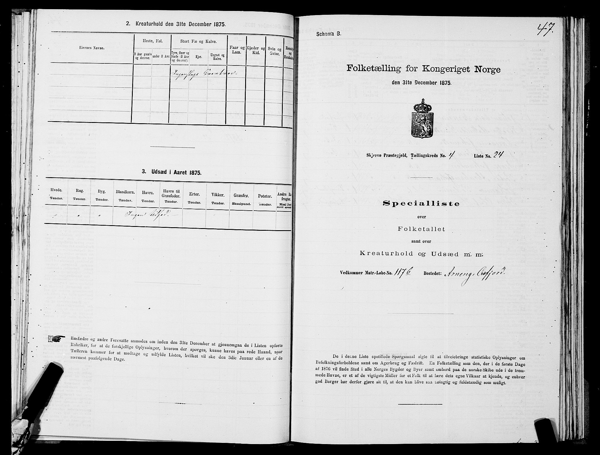 SATØ, Folketelling 1875 for 1941P Skjervøy prestegjeld, 1875, s. 3047