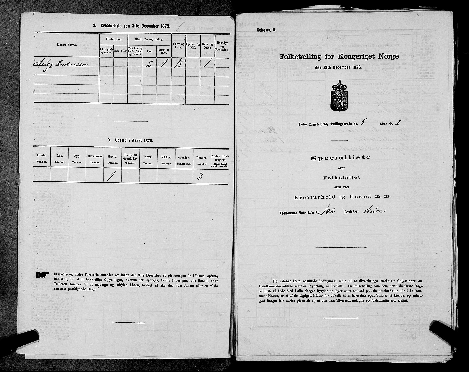 SAST, Folketelling 1875 for 1138P Jelsa prestegjeld, 1875, s. 413