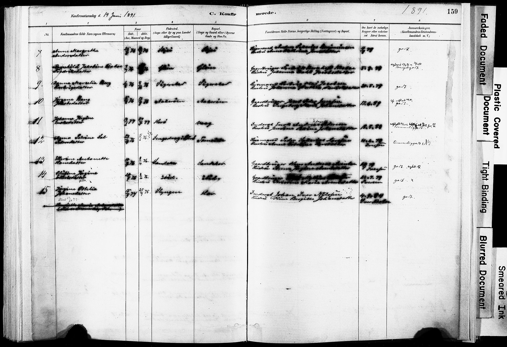 Ministerialprotokoller, klokkerbøker og fødselsregistre - Nordland, AV/SAT-A-1459/835/L0525: Ministerialbok nr. 835A03I, 1881-1910, s. 159