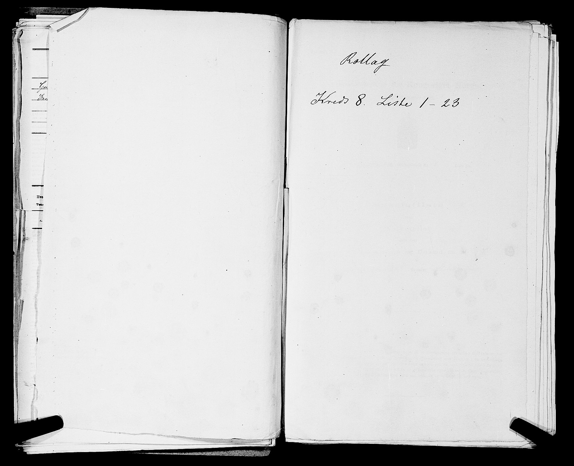 SAKO, Folketelling 1875 for 0632P Rollag prestegjeld, 1875, s. 517