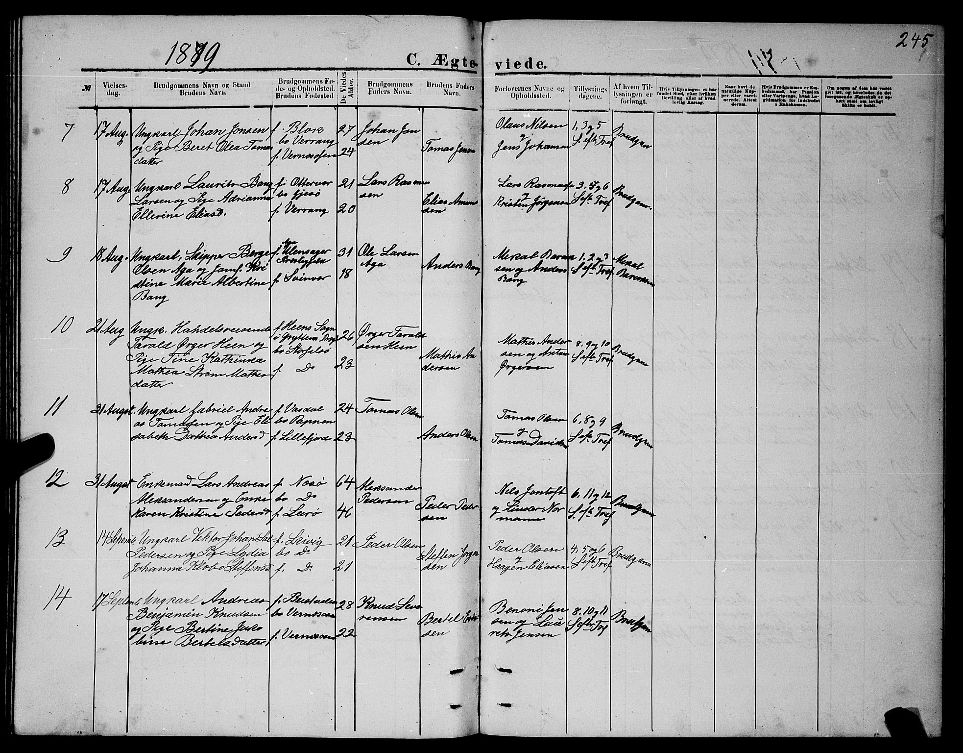 Ministerialprotokoller, klokkerbøker og fødselsregistre - Nordland, SAT/A-1459/841/L0620: Klokkerbok nr. 841C04, 1877-1896, s. 245