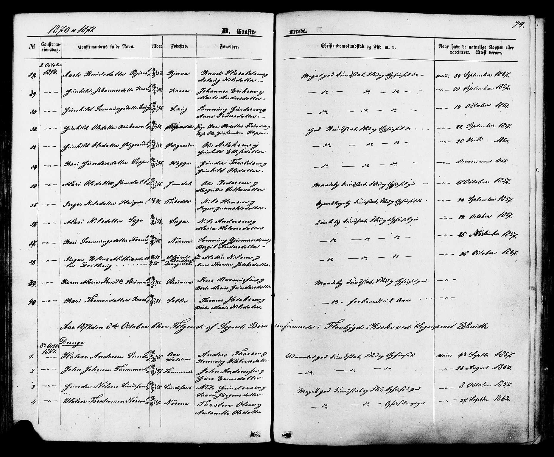 Lunde kirkebøker, AV/SAKO-A-282/F/Fa/L0001: Ministerialbok nr. I 1, 1866-1883, s. 79