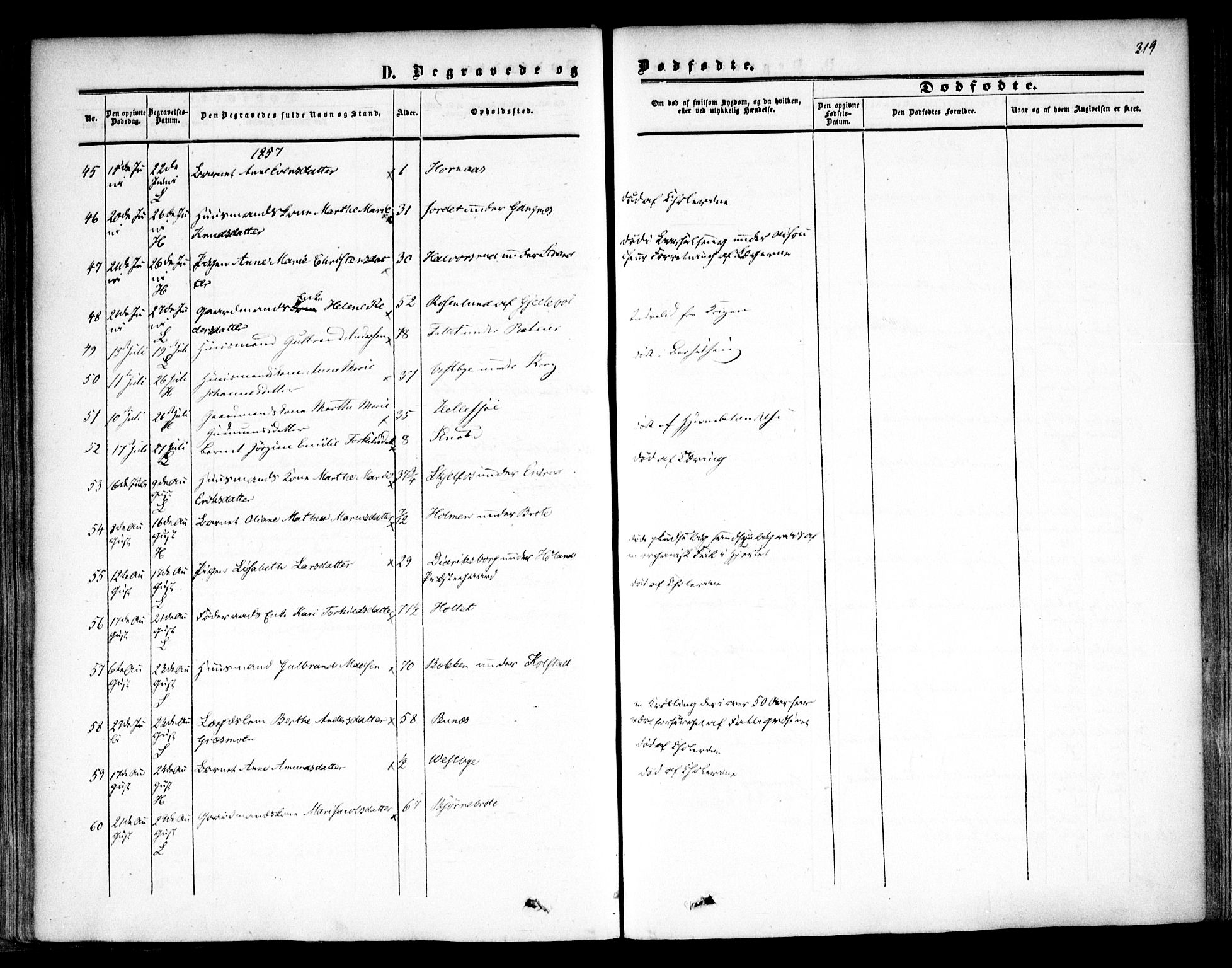 Høland prestekontor Kirkebøker, SAO/A-10346a/F/Fa/L0010: Ministerialbok nr. I 10, 1854-1861, s. 319